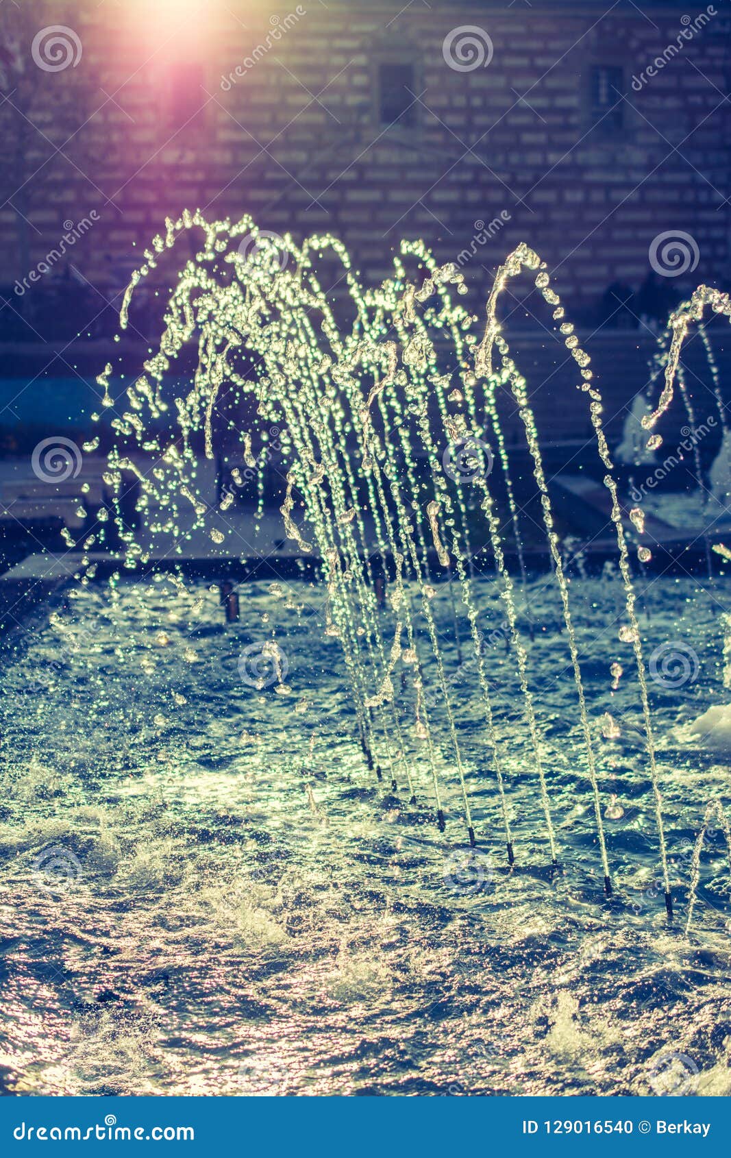 The Fountains Gushing Sparkling Water in a Pool Stock Photo Image of