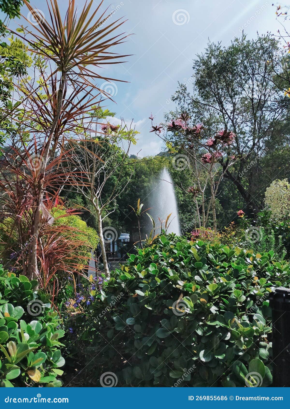 Fountains in the Middle of the Forest Stock Photo Image of summer