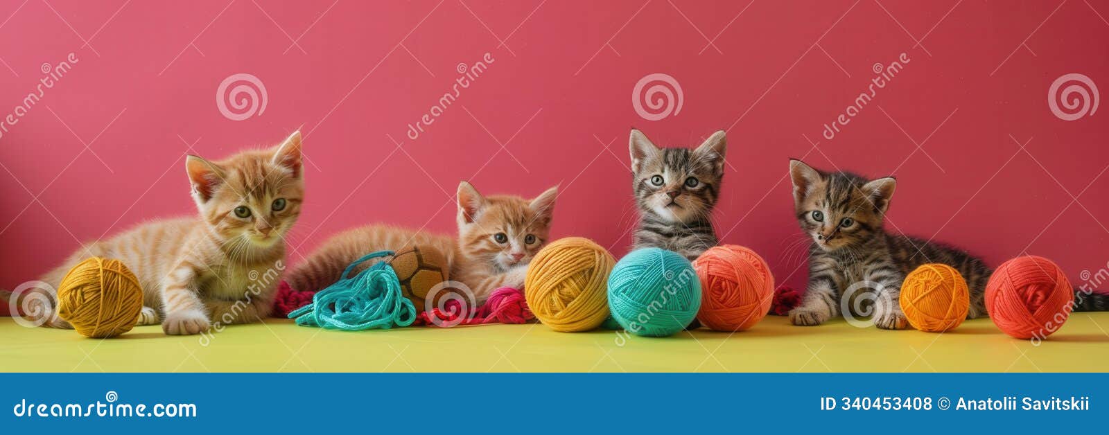 four adorable kittens are happily playing with vibrant yarn and balls, showcasing their playful antics in a colorful