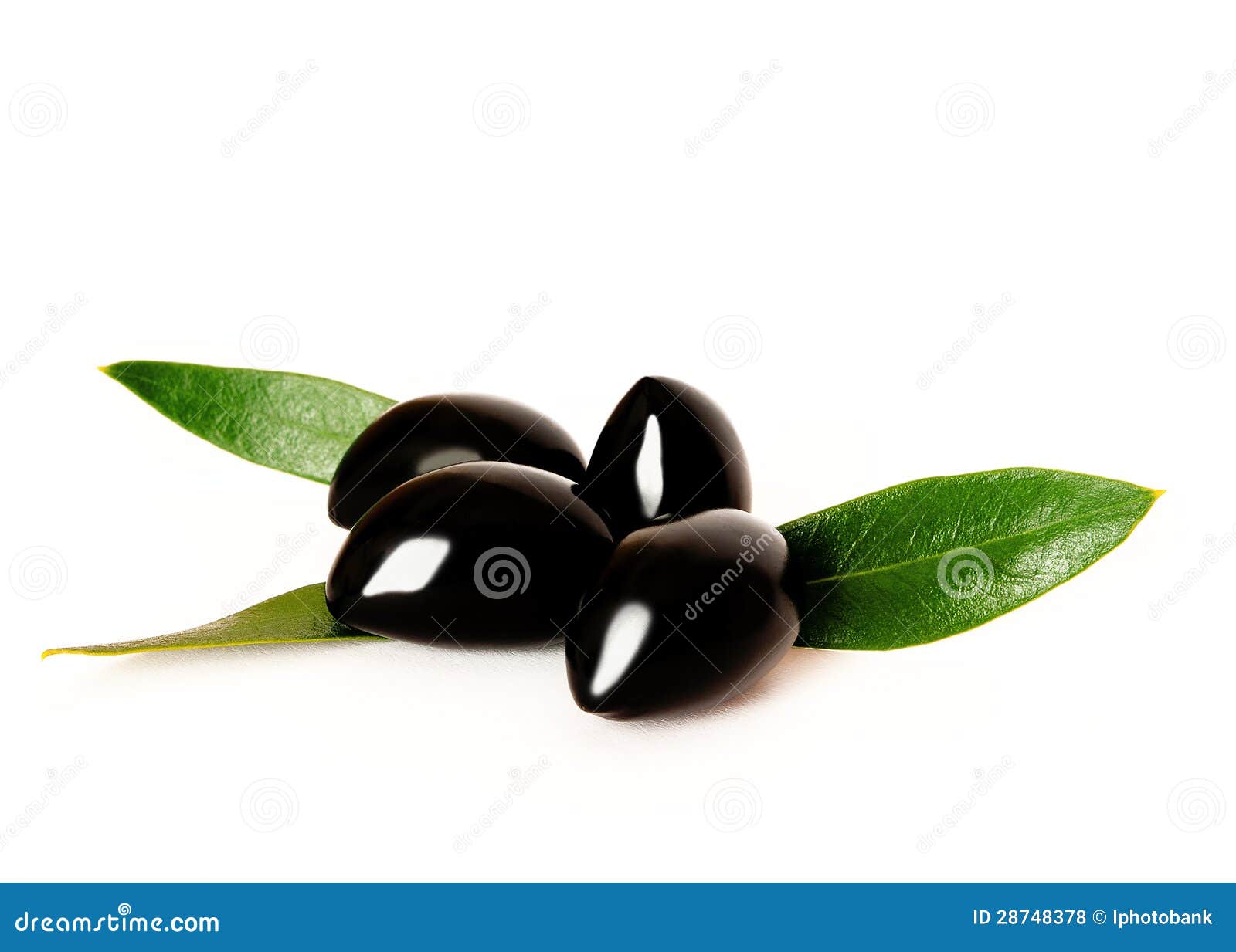 Four Black Olives with Green Leaves on White Stock Photo Image of green, leaves 28748378