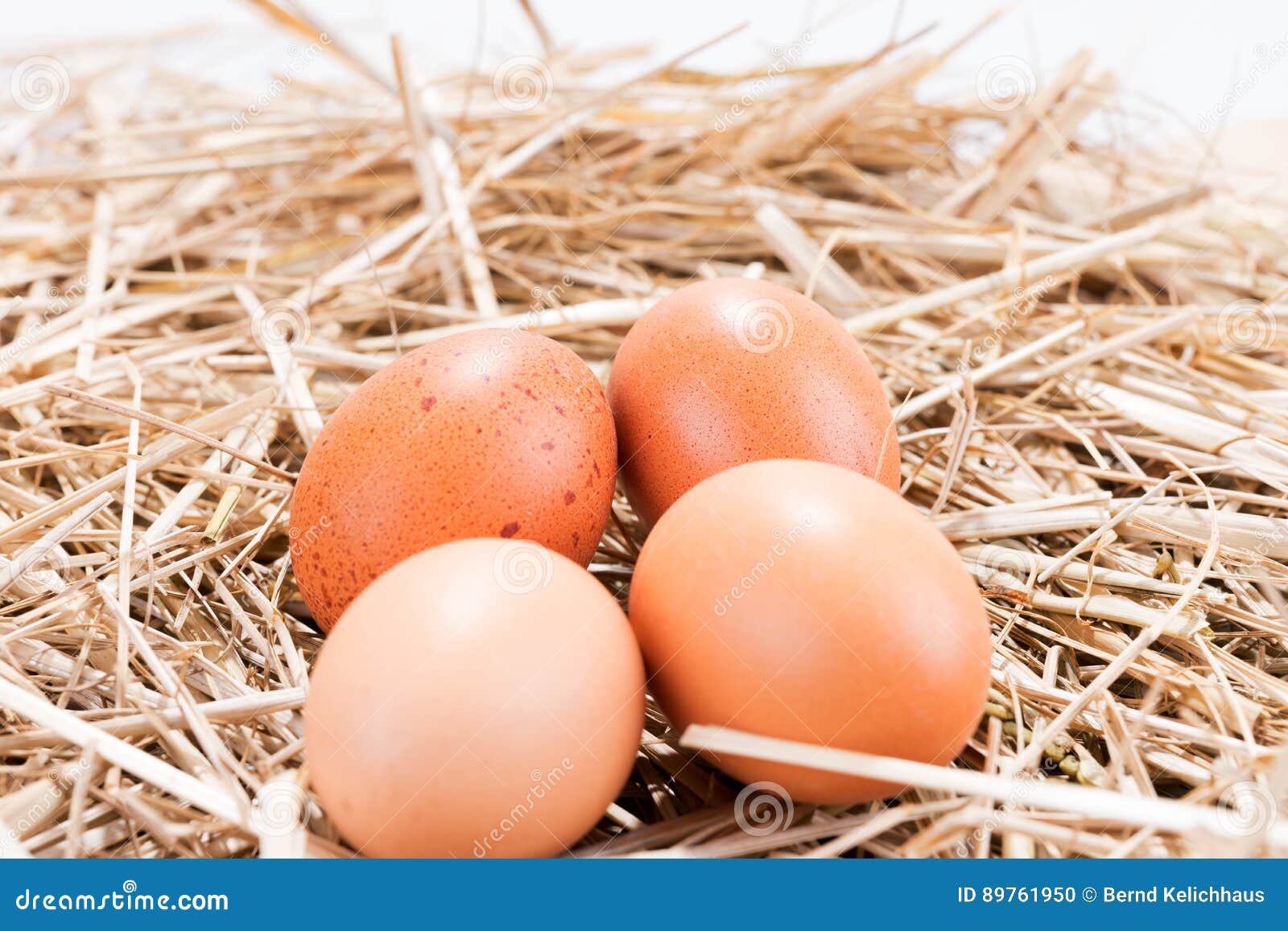 Four Brown Chicken Eggs in the Straw Stock Photo Image of copy, fresh