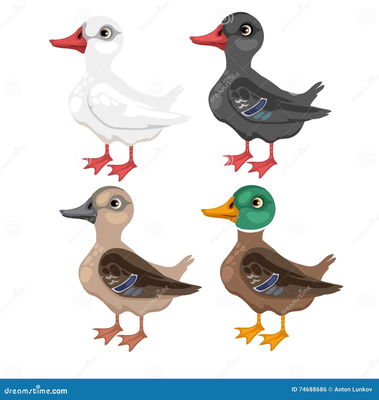 Four Cartoon Duck in Different Colors, Vector Stock Vector ...