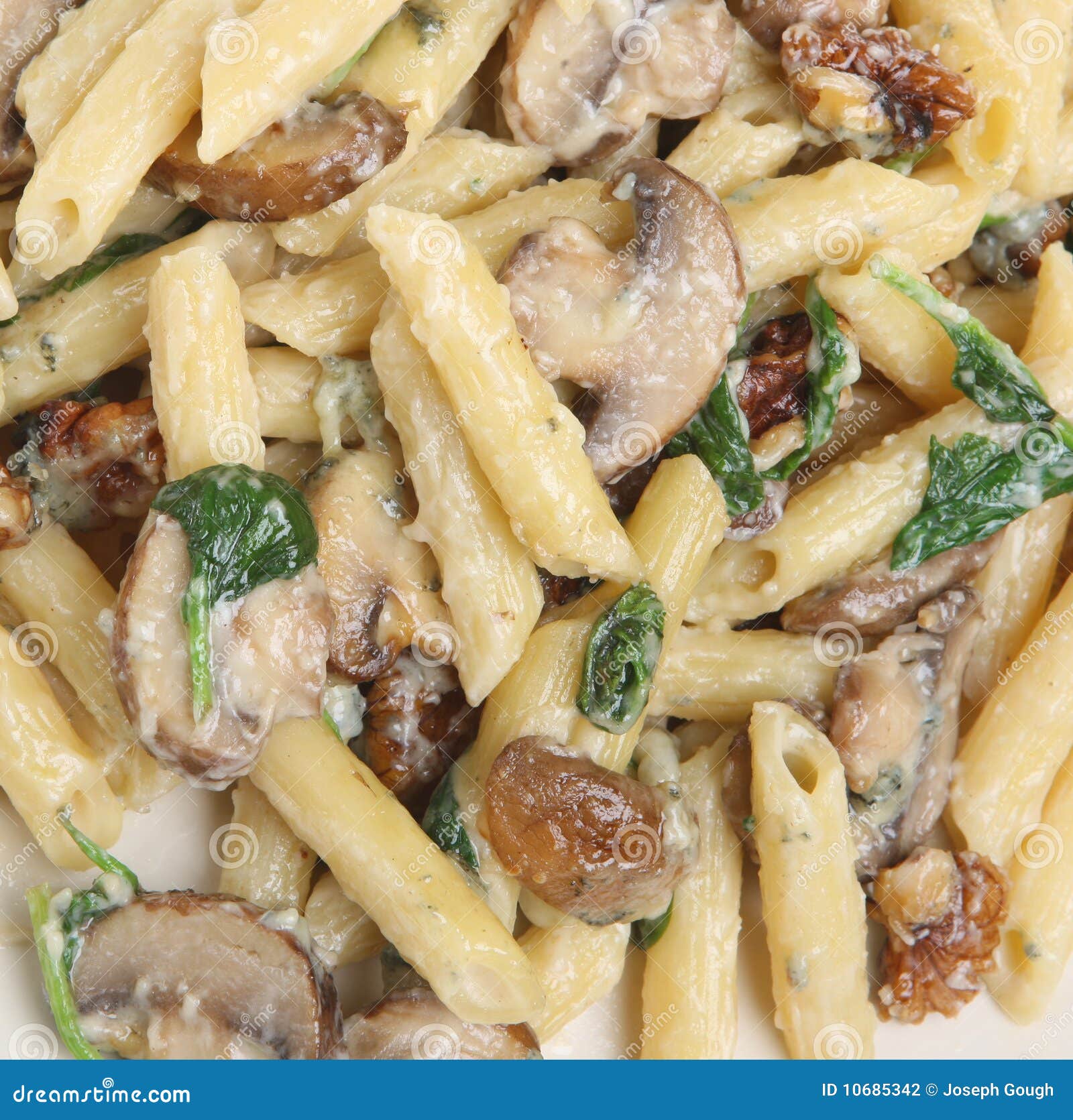 Four Cheese Pasta Florentine Stock Photo Image of four, penne 10685342