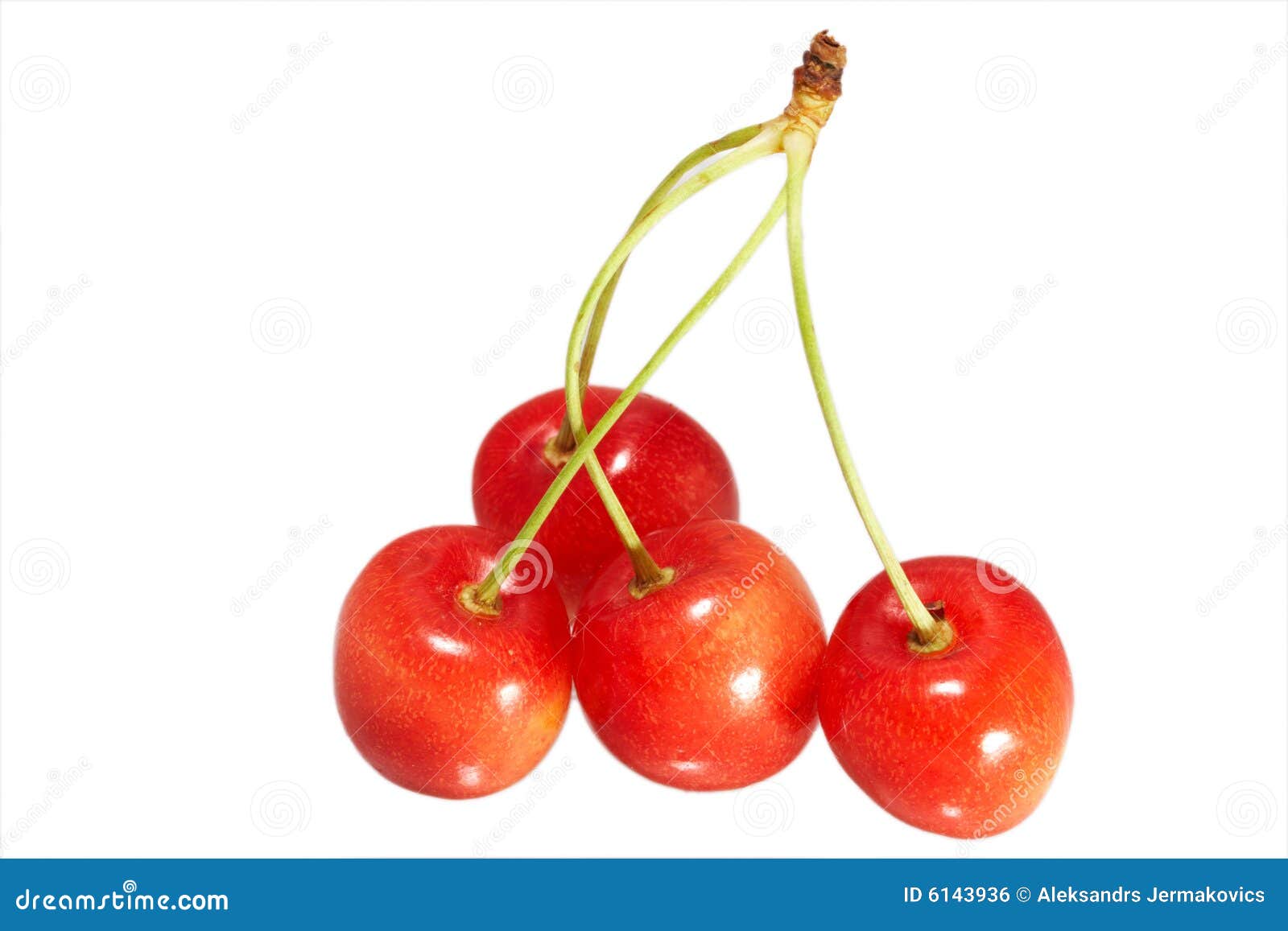 Four cherries stock photo. Image of four, berry, cherry - 6143936