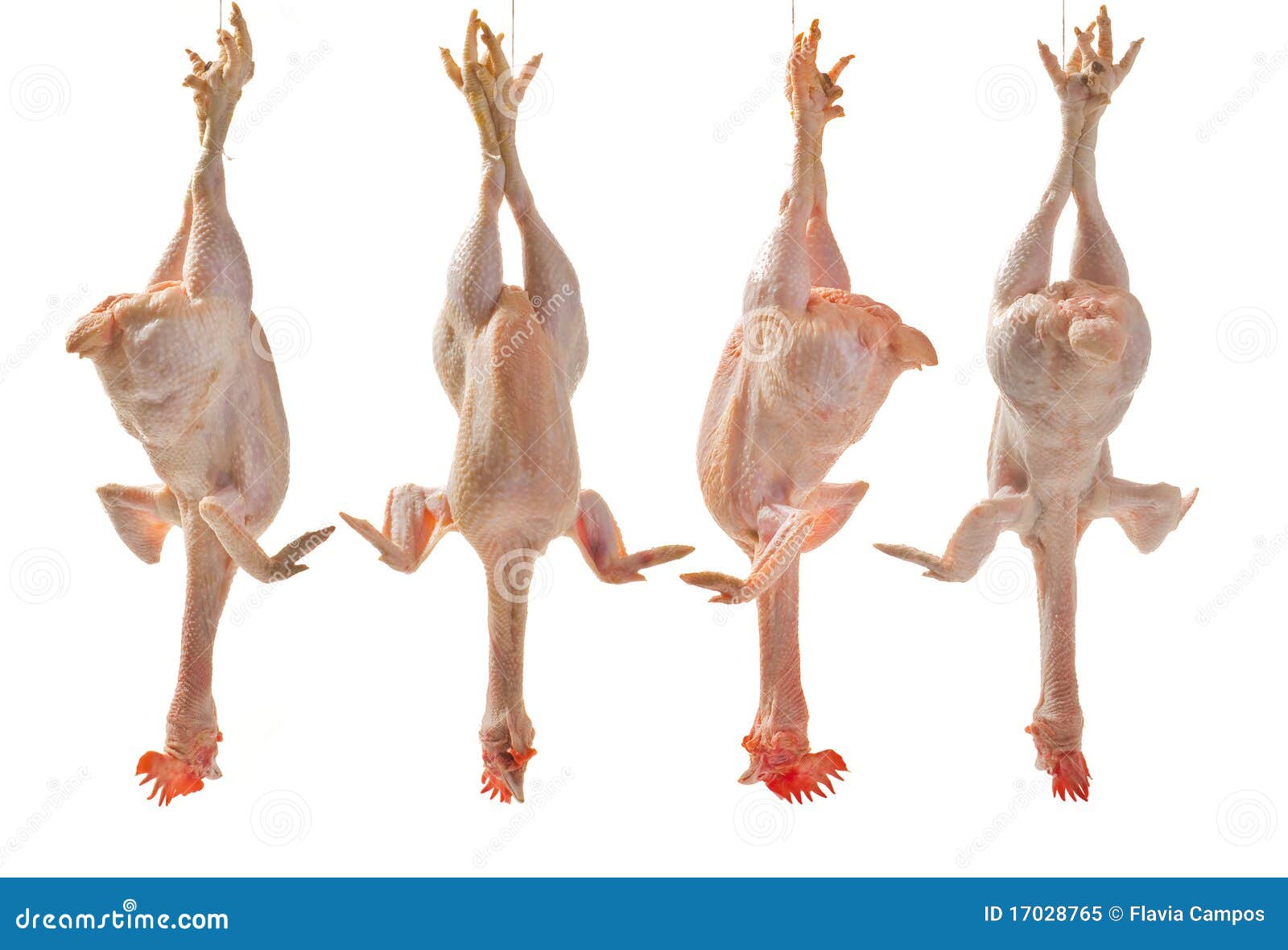 Four chicken stock image. Image of poultry, dinner, food 17028765