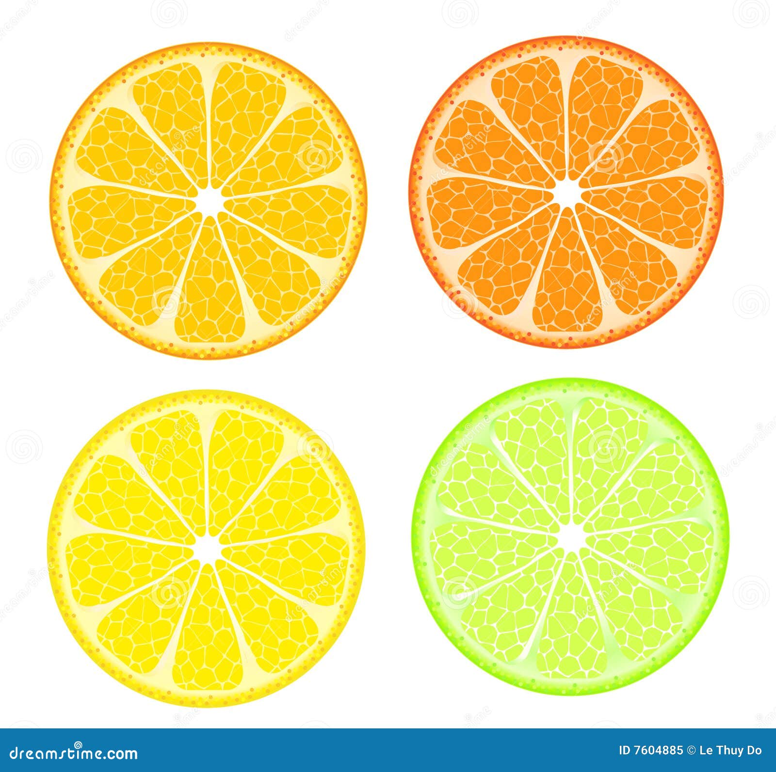 Four Citrus stock illustration. Illustration of raster - 7604885