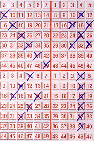 A Lottery Ticket Completed With Samples In Detail Stock Image Image 