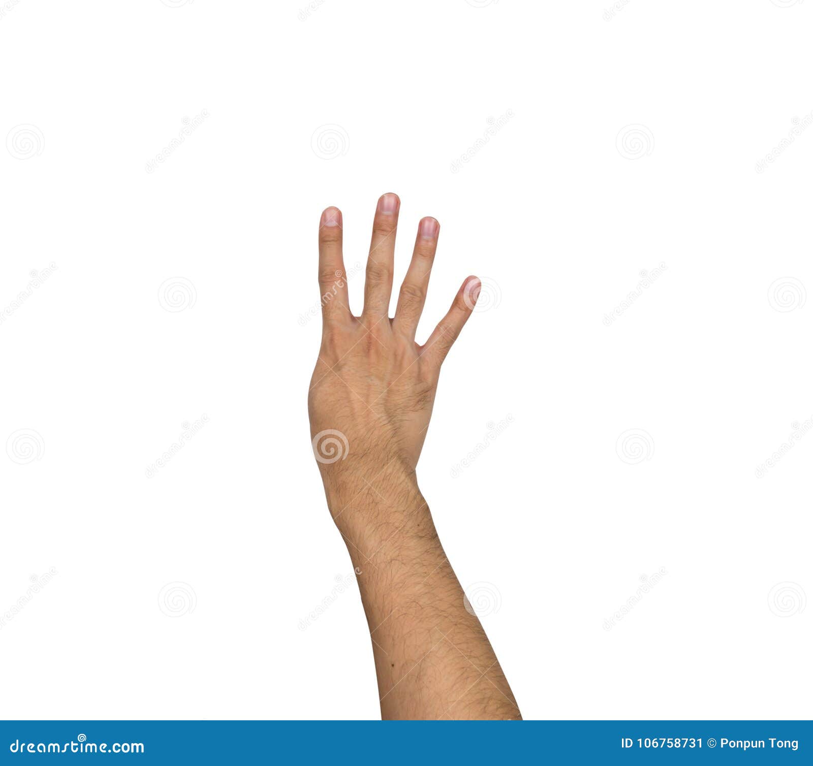 My Image 6
