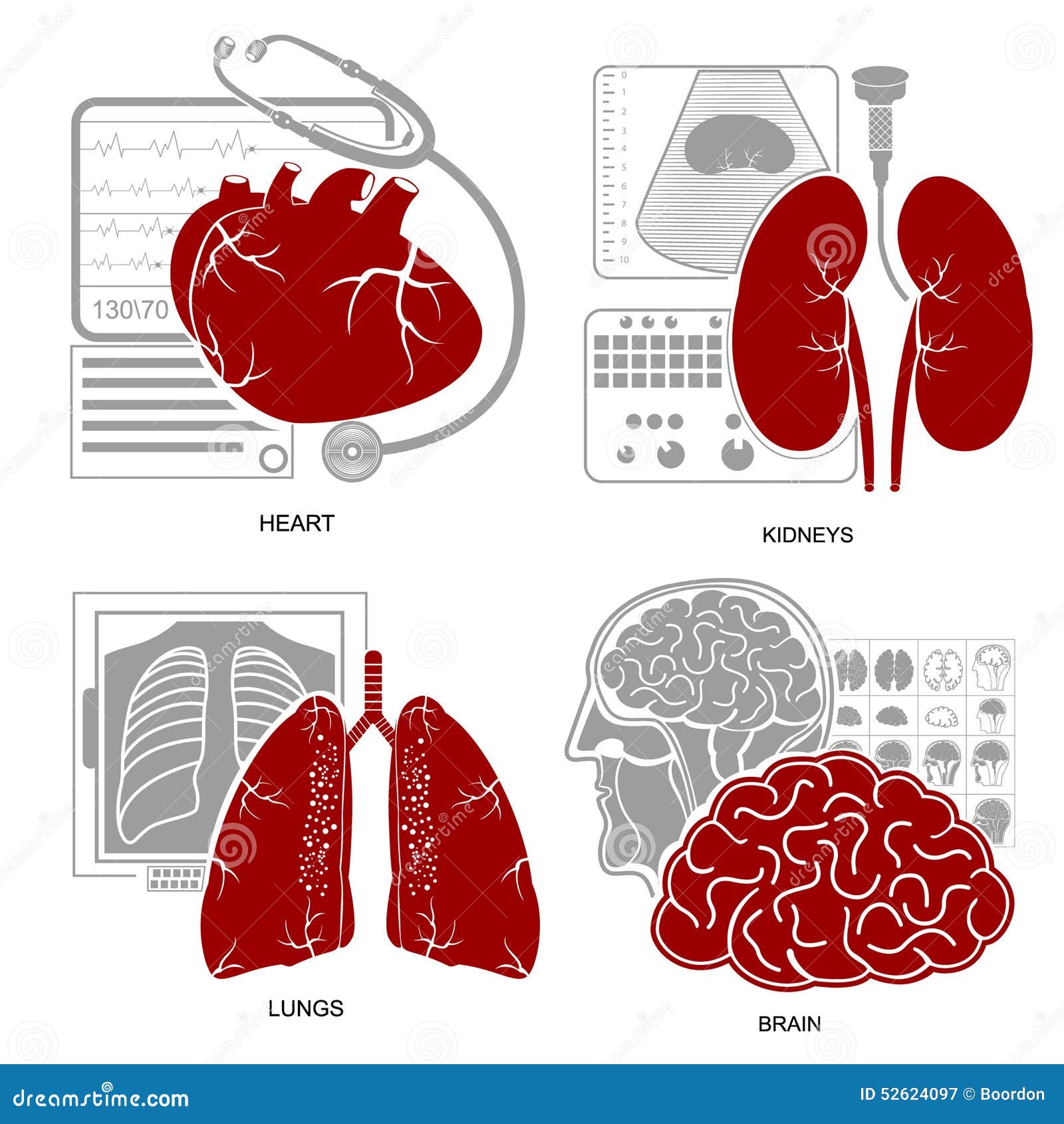 four flat  medecine icon heart lungs brain kidneys