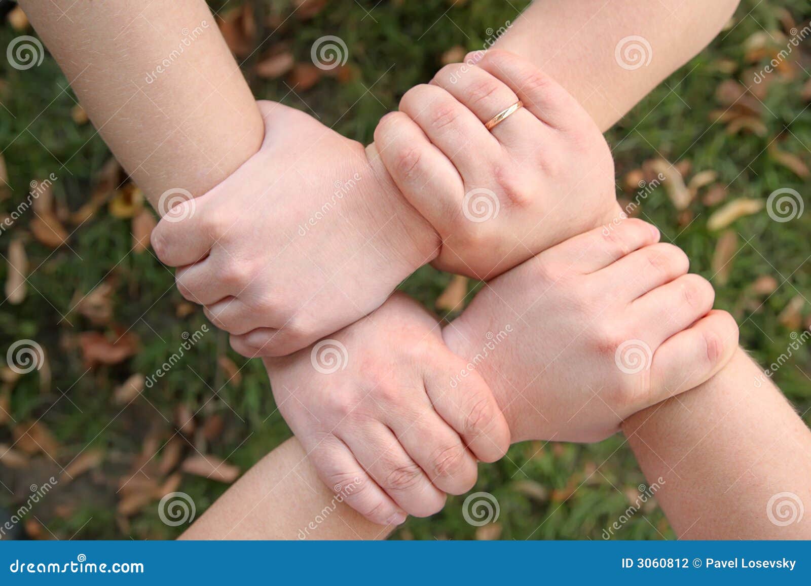 171 Four Hands Holding Each Other Stock Photos - Free & Royalty