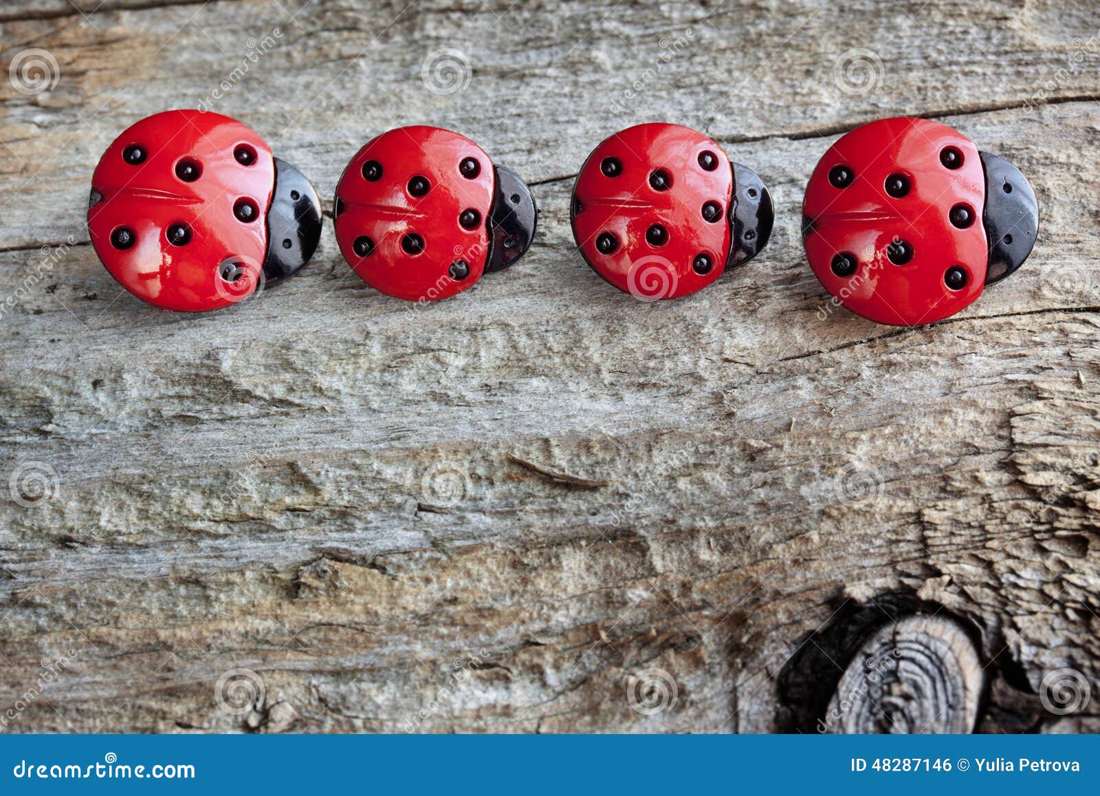 Four ladybugs stock photo. Image of beetle, holiday, background 48287146