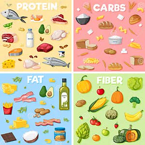 The Four Main Food Groups Vector Illustration CartoonDealer 