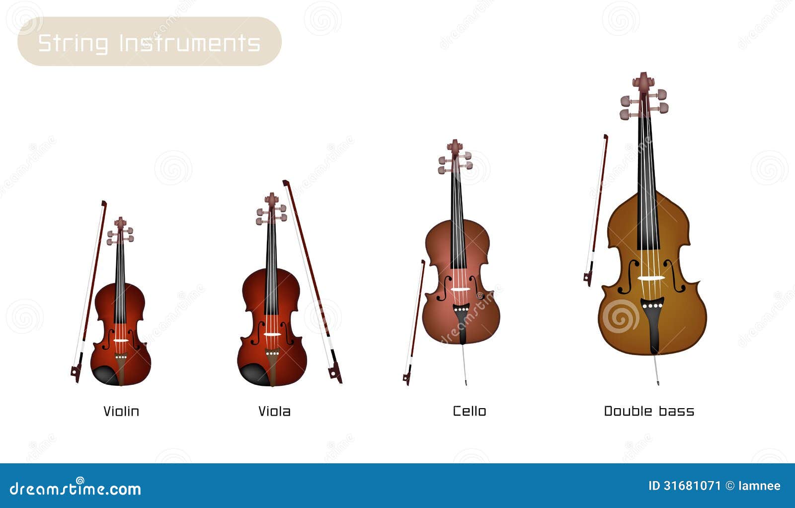 four musical instrument strings on white backgroun