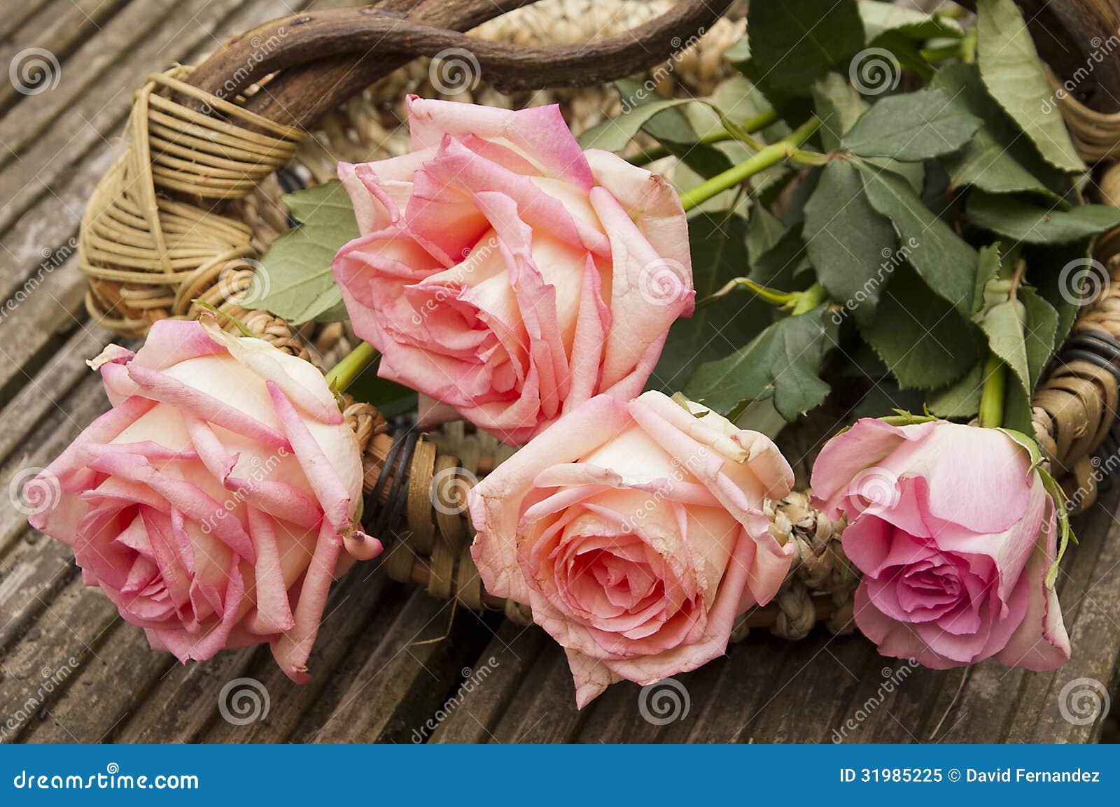 Four roses in a basket stock image. Image of spring, pink 31985225