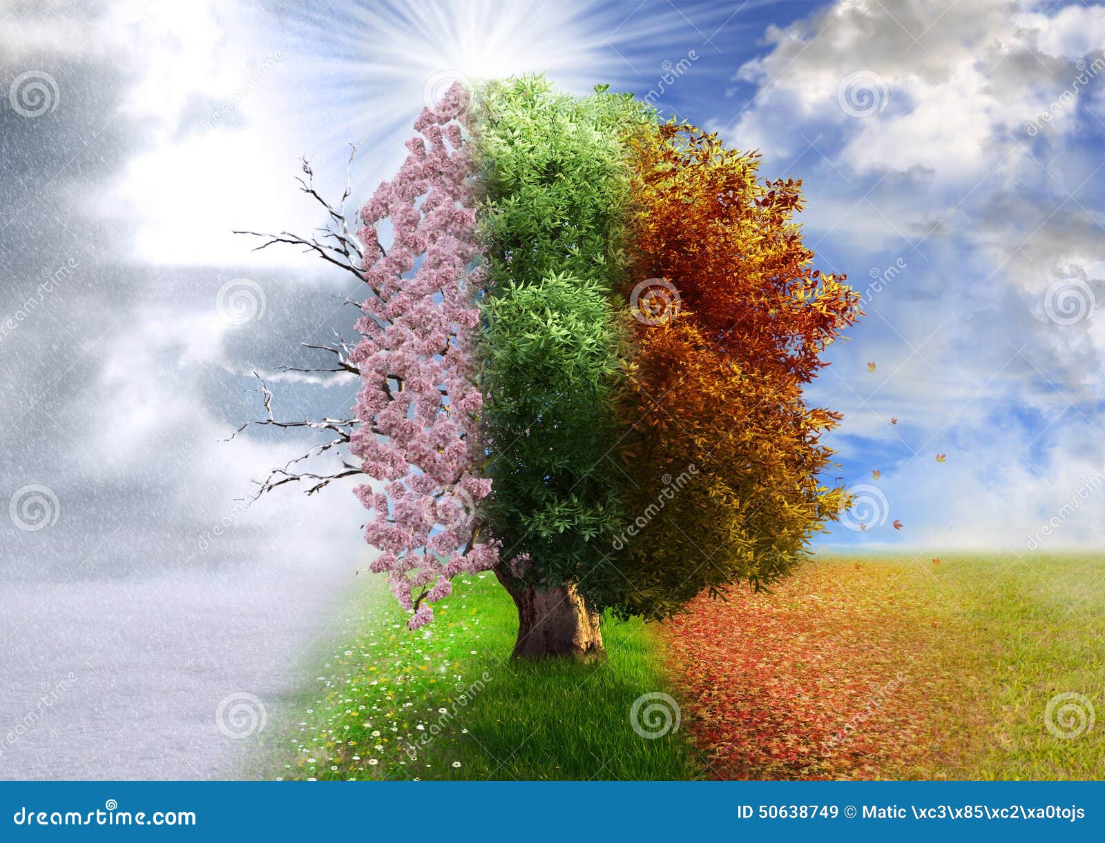 four season tree, photo manipulation