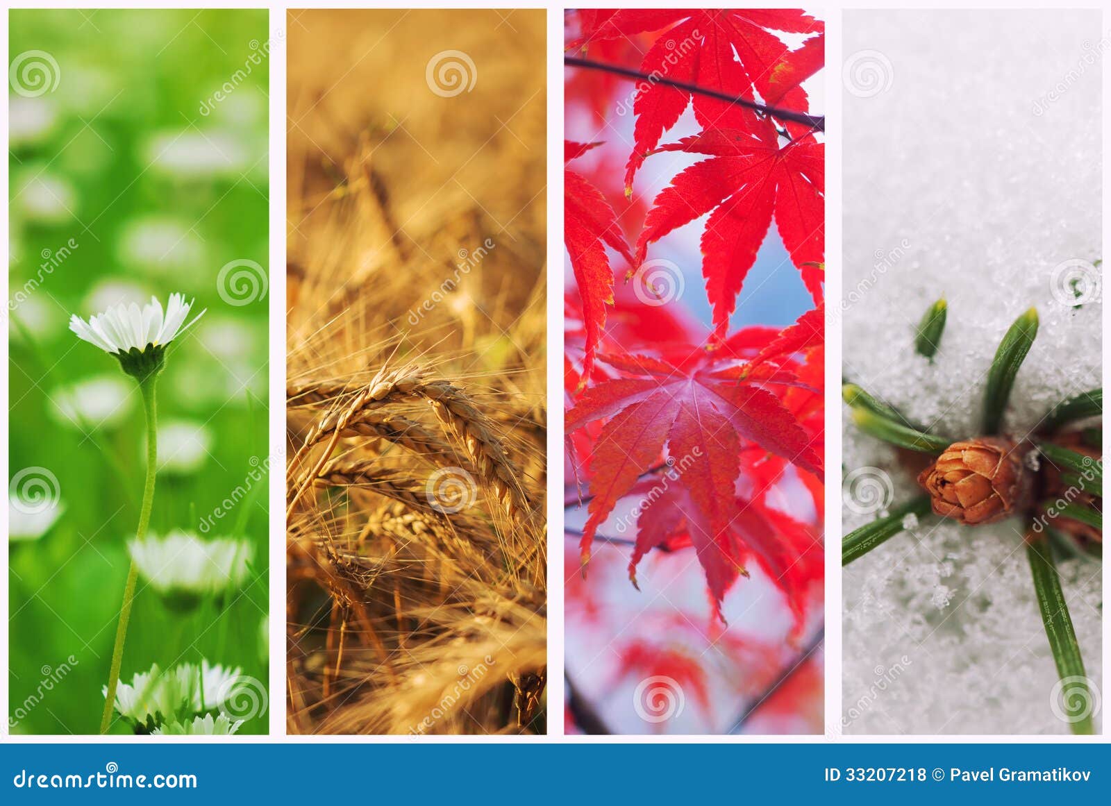 Collage Seasons All Season Seasons One Stock Photo 1571171767