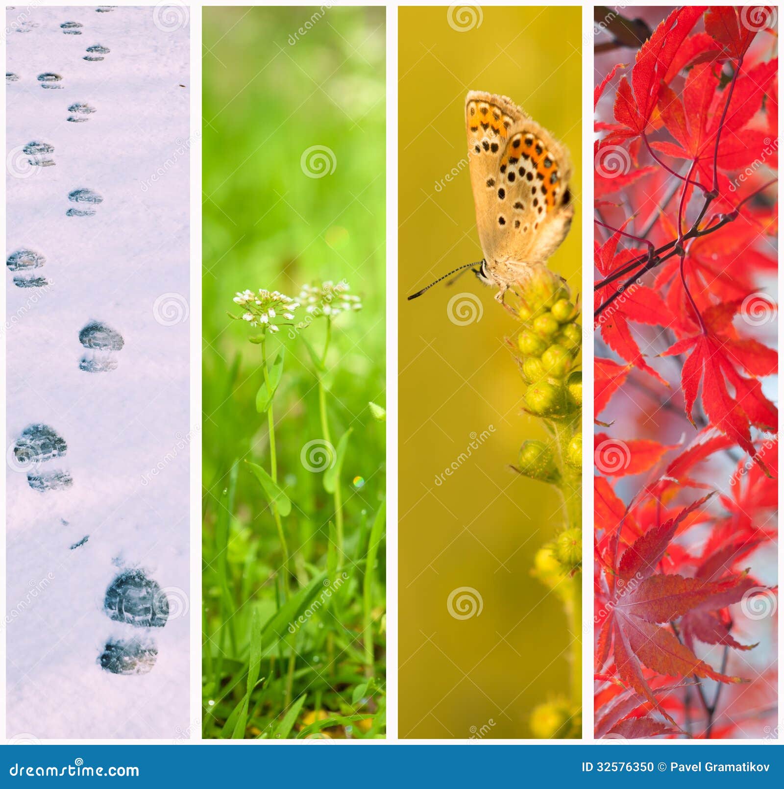 Collage Seasons All Season Seasons One Stock Photo 1571171767