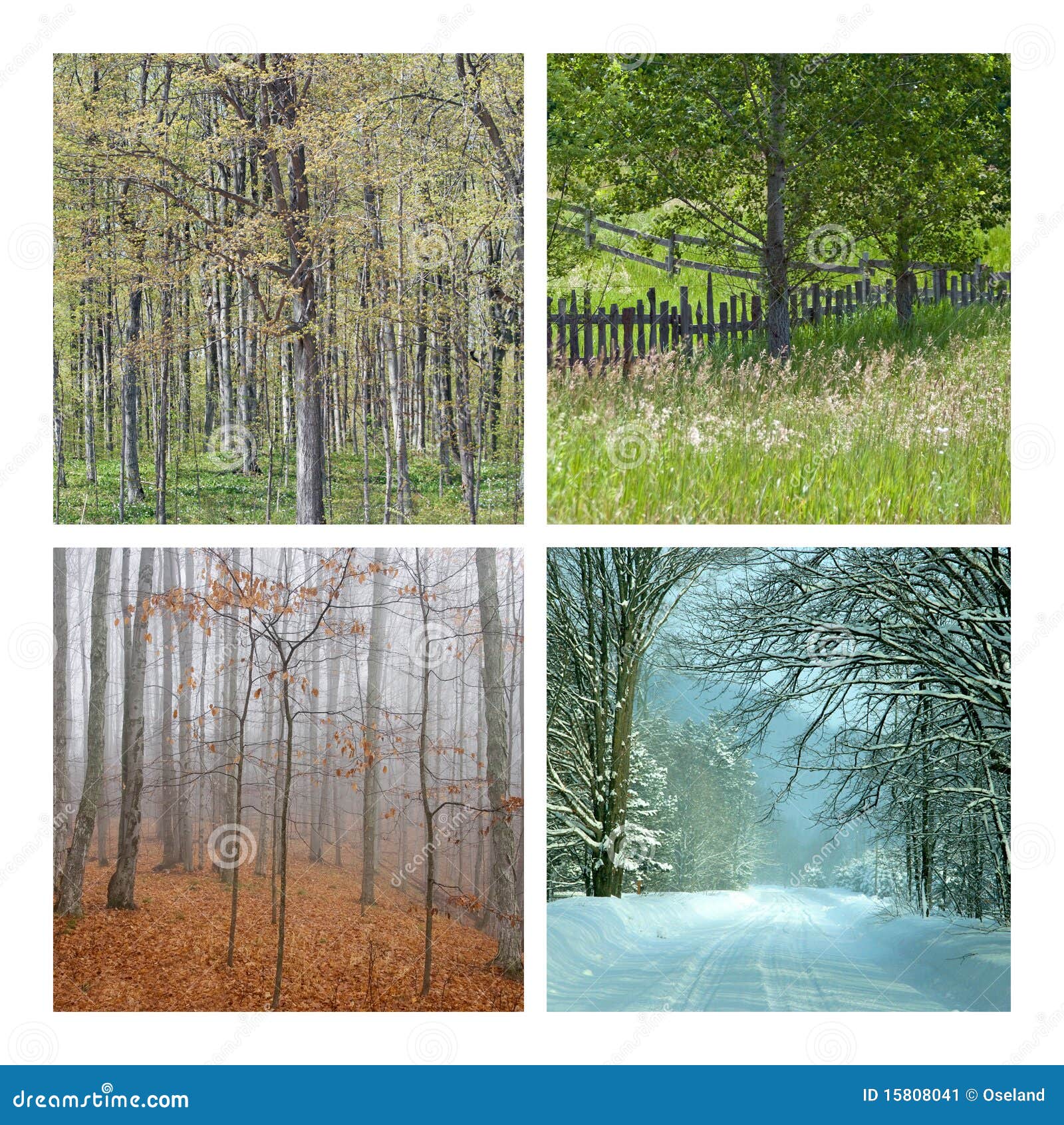 Four Seasons Nature Collage Stock Image - Image: 15808041