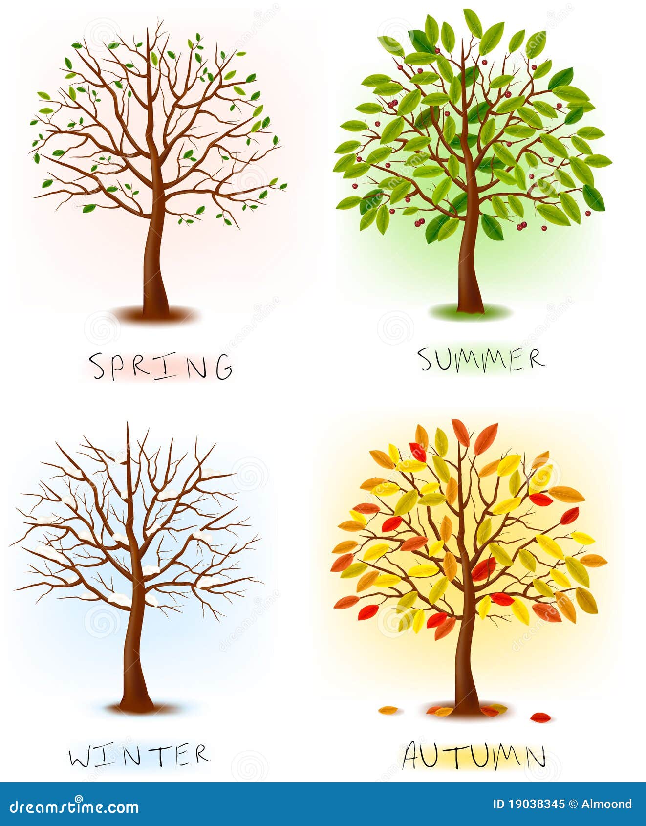 Four Seasons - Spring, Summer, Autumn, Winter. Stock Vector
