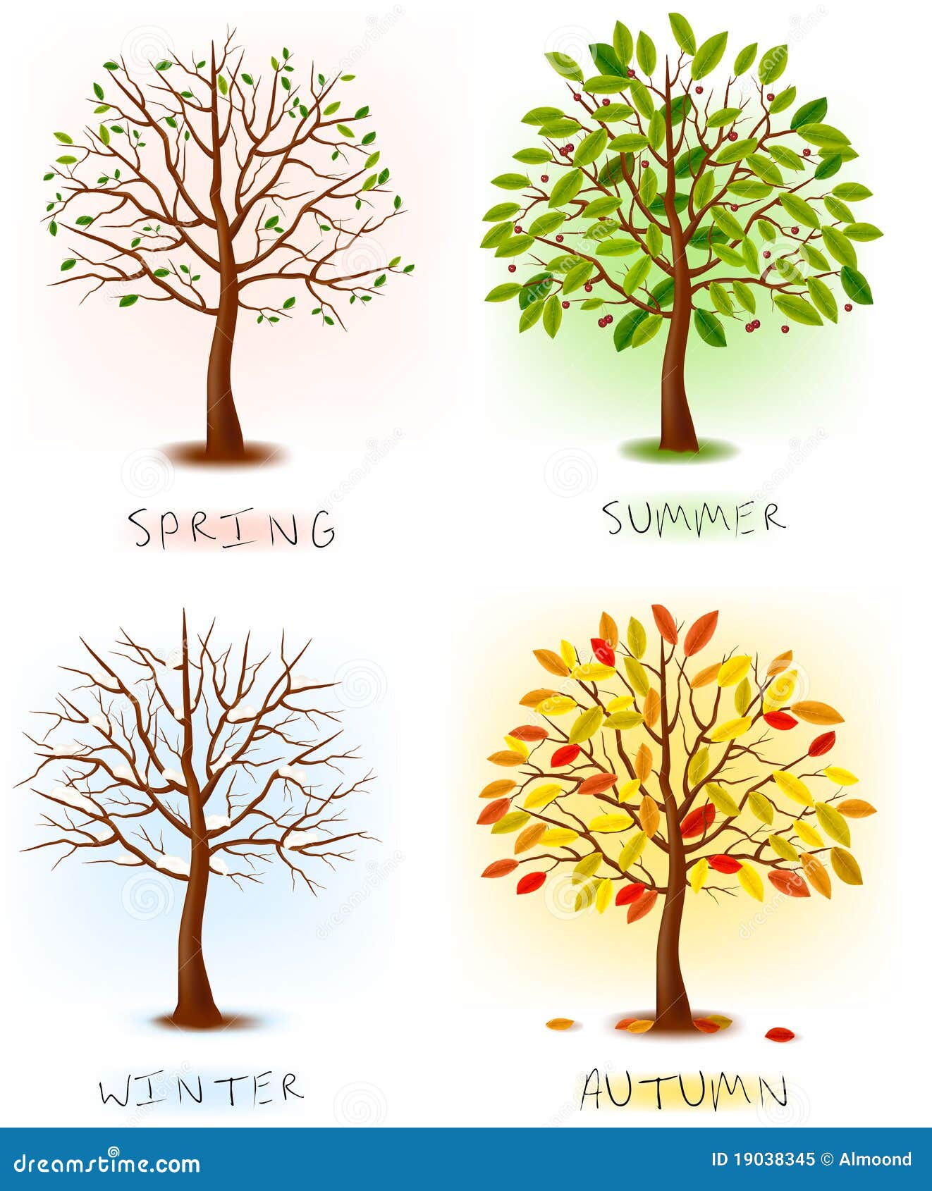 Four Seasons - Spring, Summer, Autumn, Winter. Stock Vector - Illustration  of rowan, decoration: 19038345