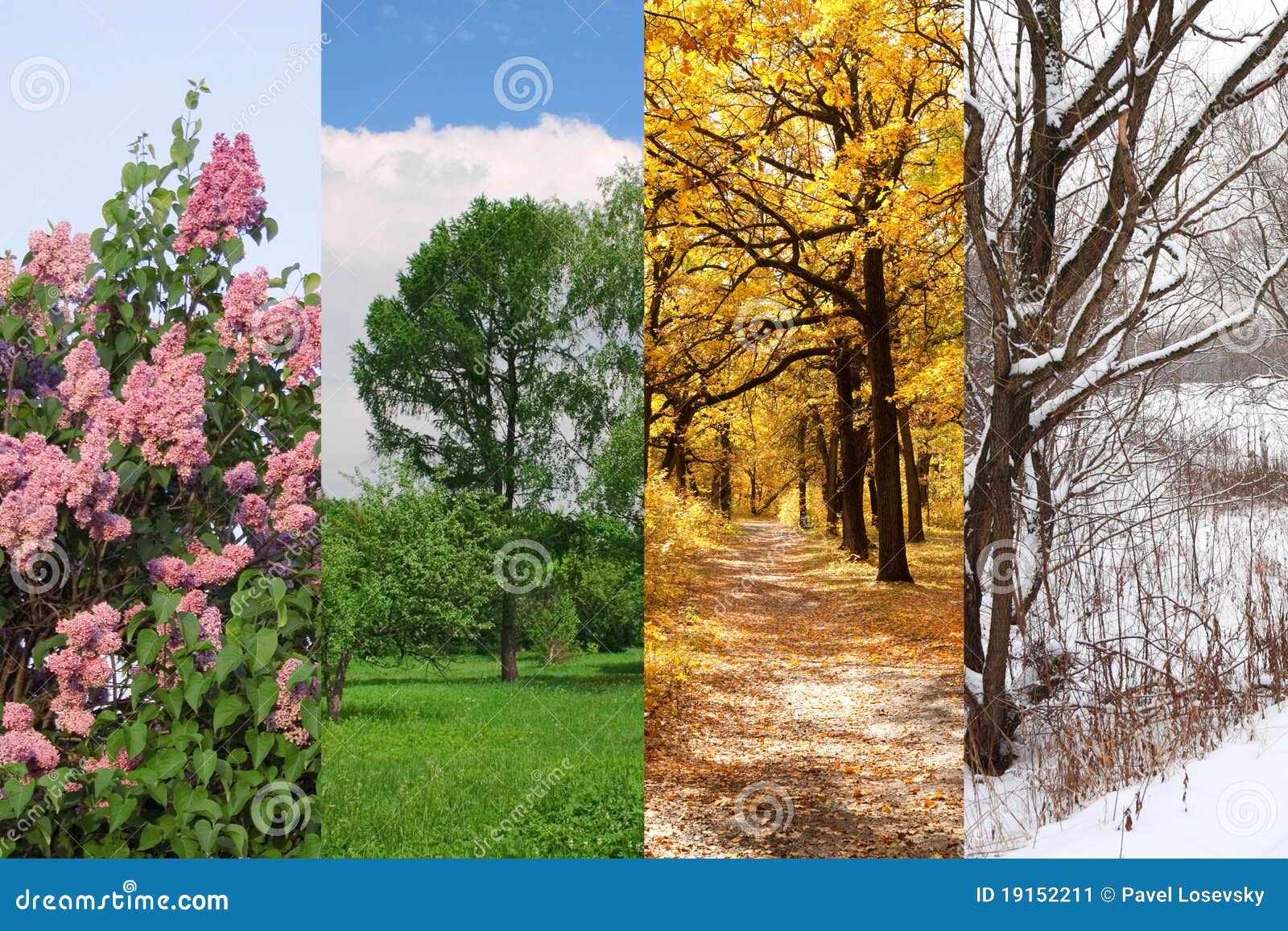 63,523 Autumn Spring Summer Winter Stock Photos - Free & Royalty