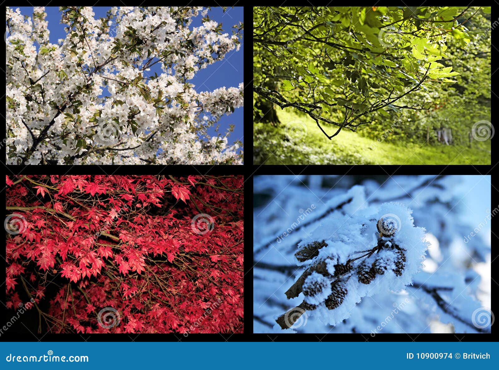 nature four