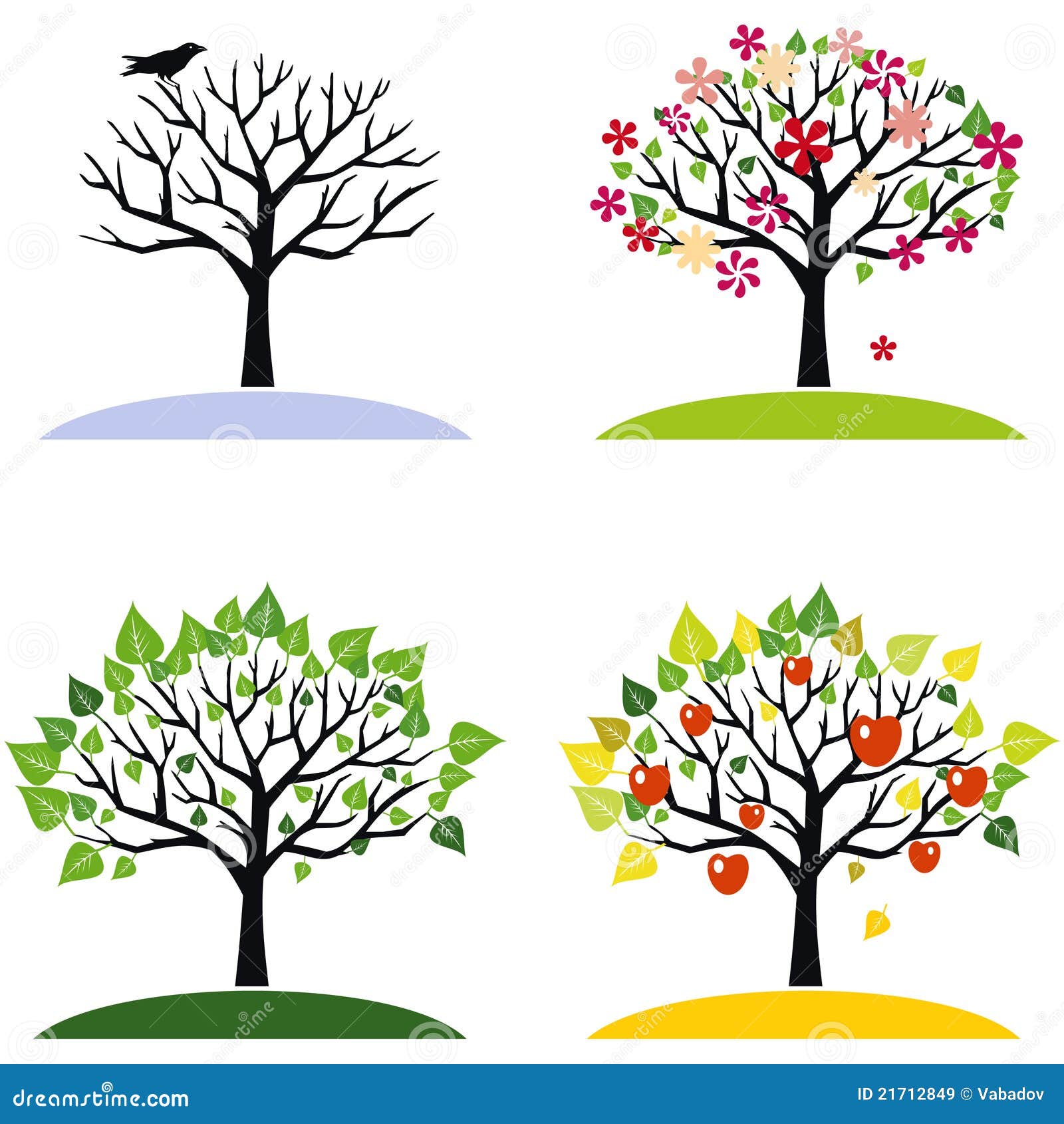 Four seasons trees stock vector. Illustration of beauty - 21712849 Four seasons trees stock vector. Illustration of beauty - 21712849