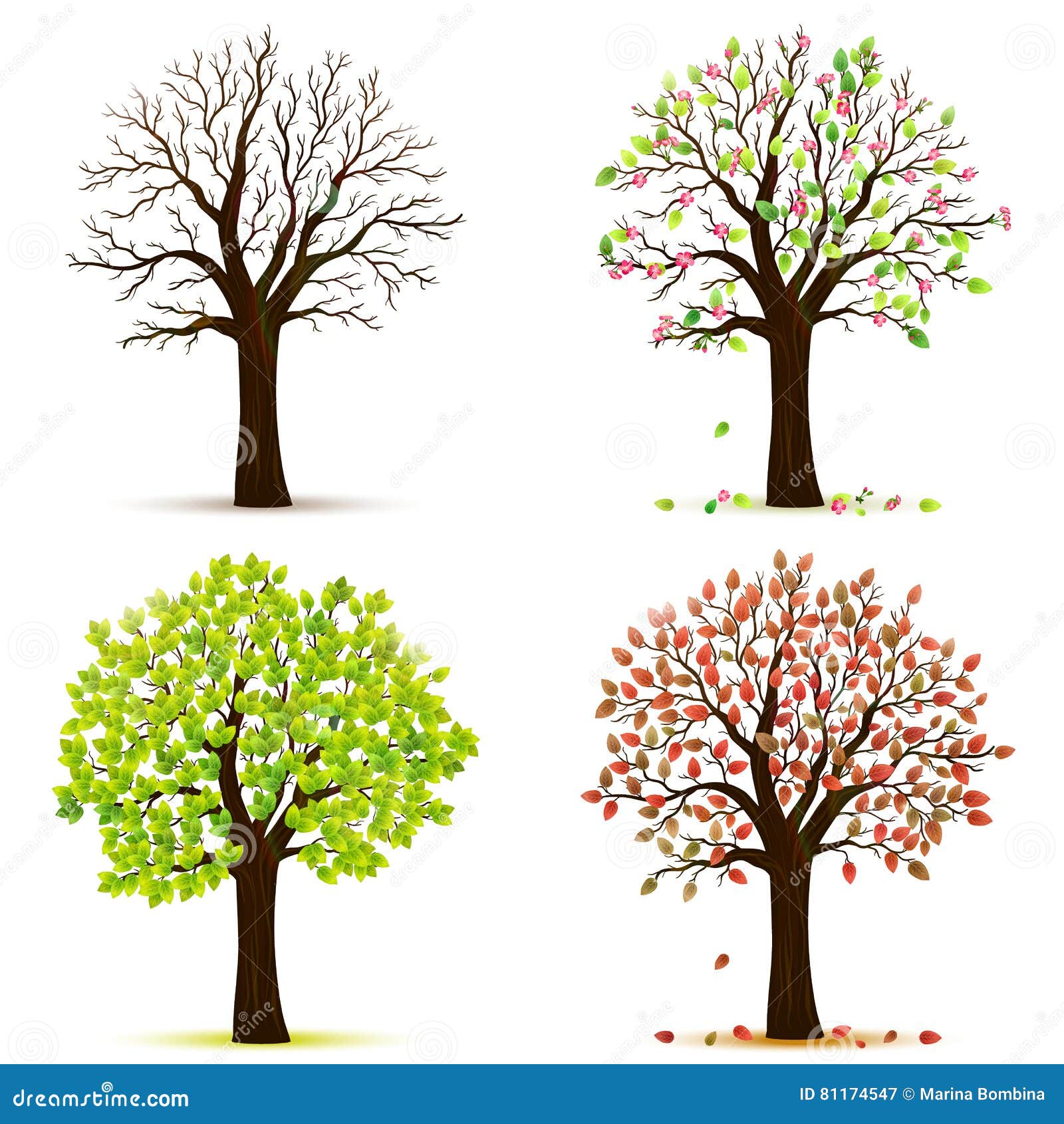 Cây bốn mùa là biểu tượng cho sự thay đổi trong cuộc sống, và hình ảnh này sẽ khiến bạn cảm thấy như đang điều khiển thời gian, theo dõi sự trưởng thành của cây qua mùa xuân, hạ, thu và đông.