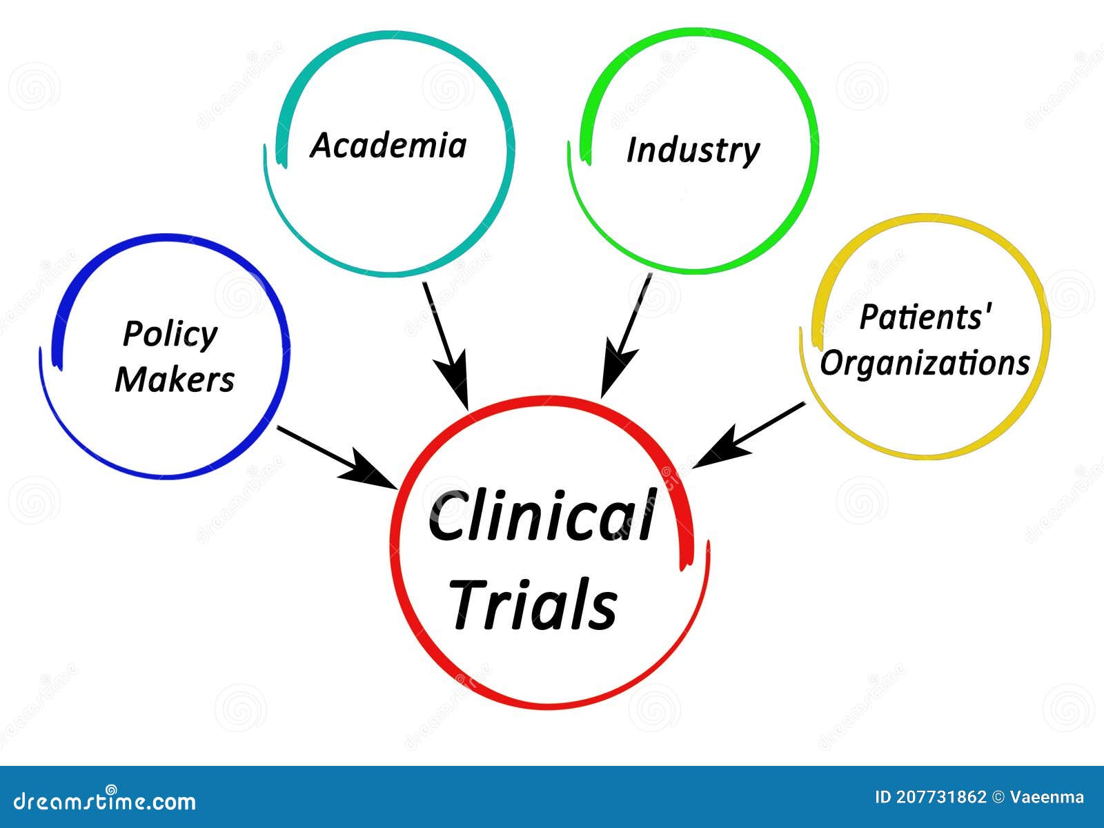 Stackeholders in Clinical Trials Stock Photo Image of patient