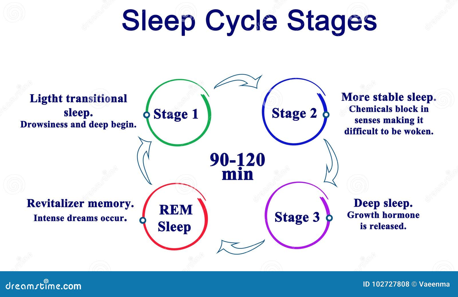 90 Minute Sleep Cycle Chart