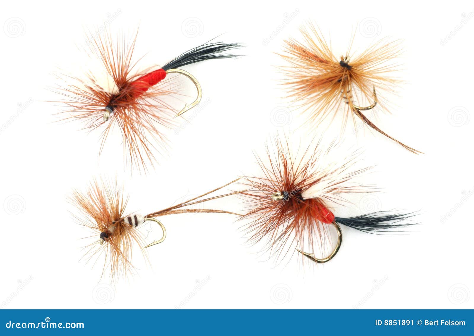 Four trout fishing flies stock image. Image of minute - 8851891