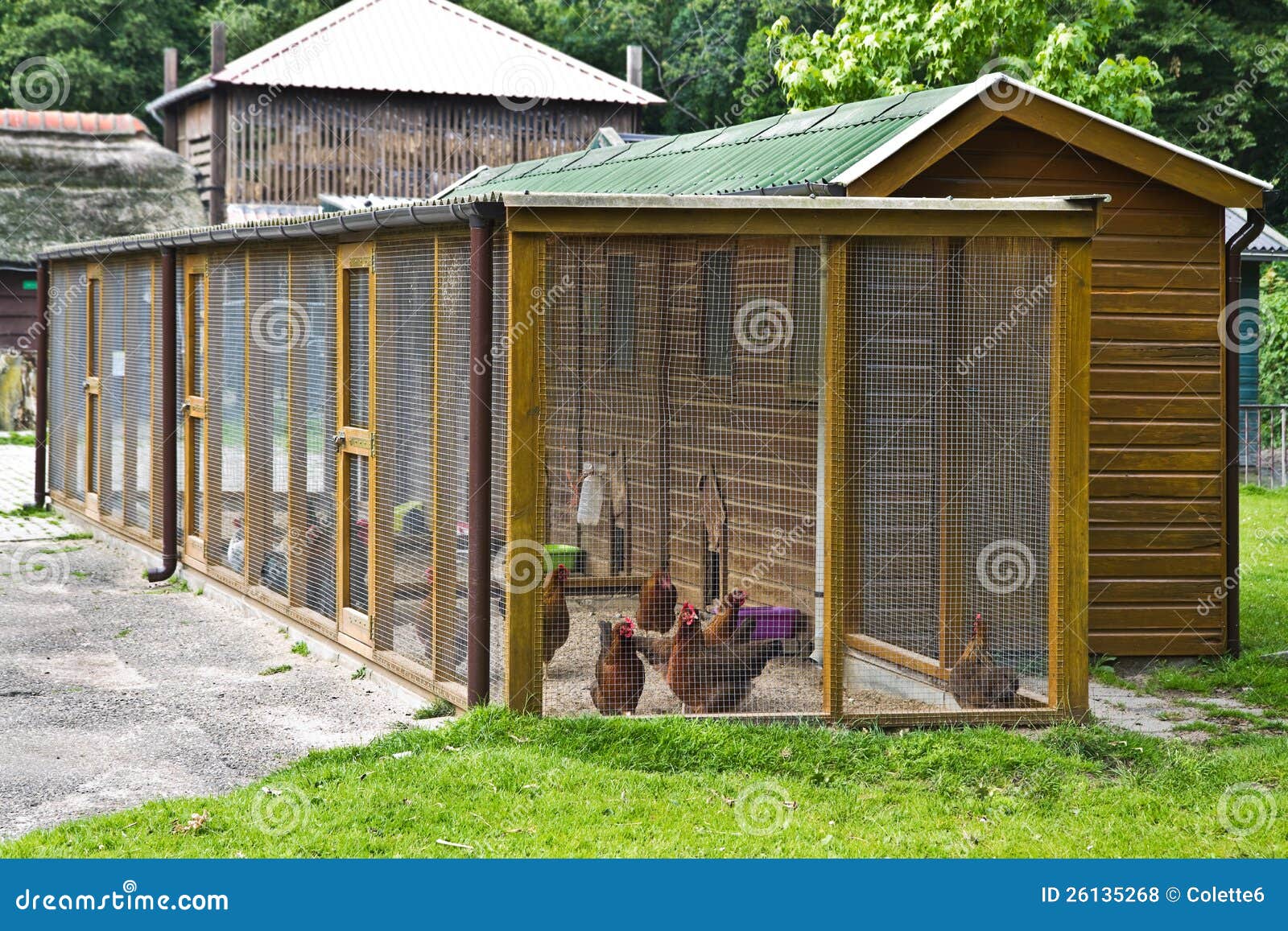 Fowl Run To Protect Chicken For Royalty Free Stock Photos ...