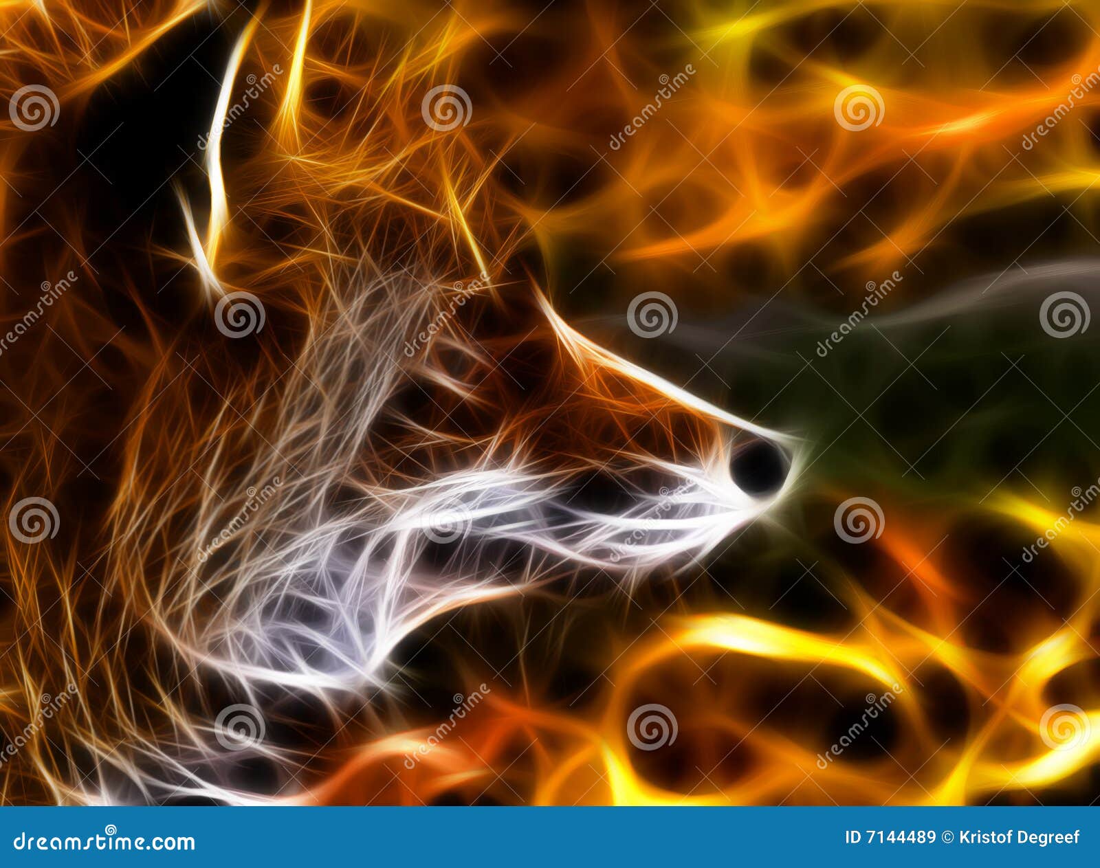 fox fractal