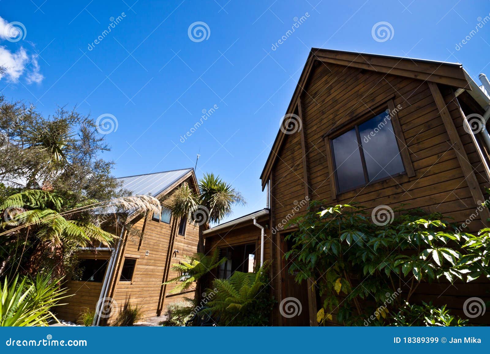 Fox Glacier Lodge New Zealand Stock Image Image of green
