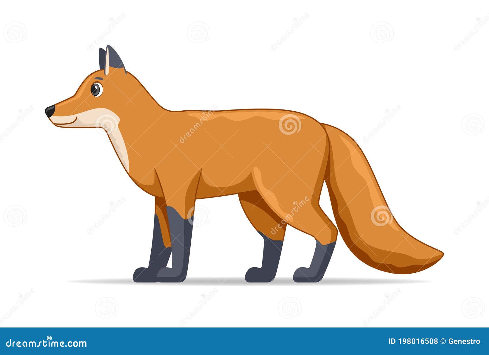 Fox Standing on a White Background Stock Vector - Illustration of ...