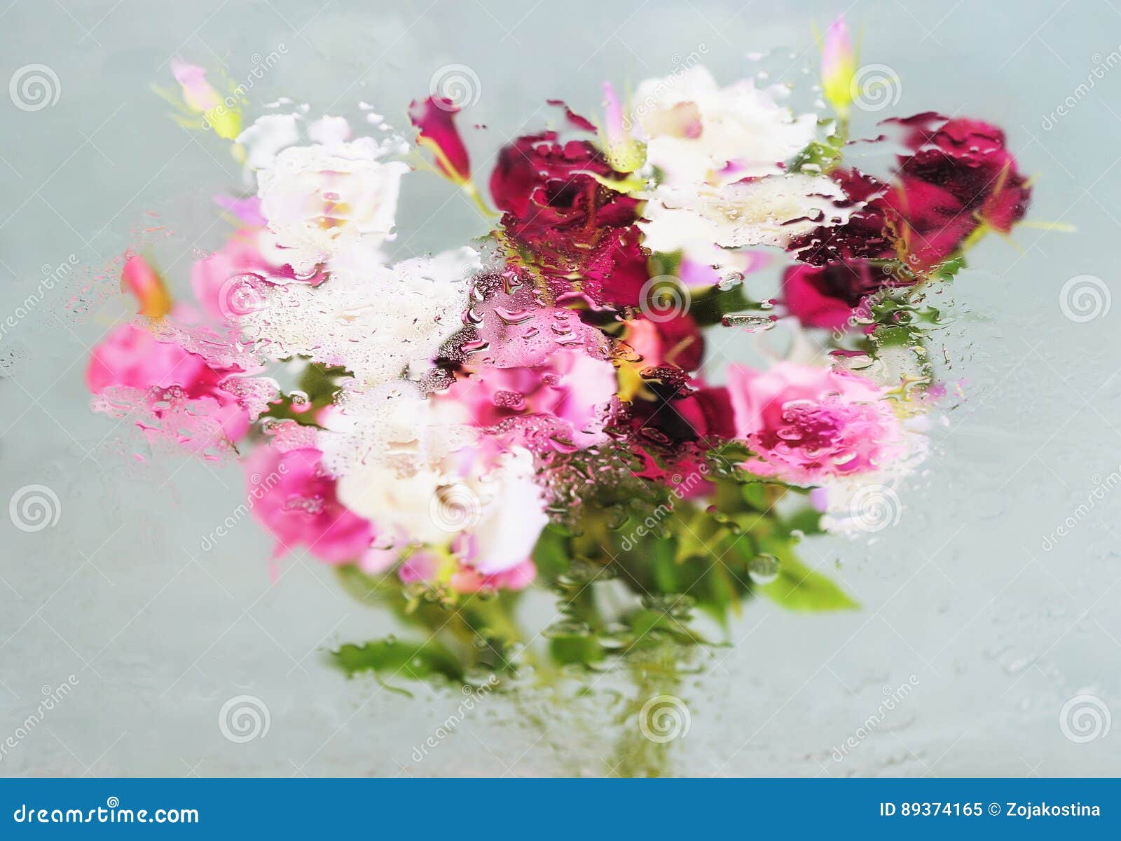 Fruhlingsblumen Unter Wasser Stockbild Bild Von Wasser Fruhlingsblumen