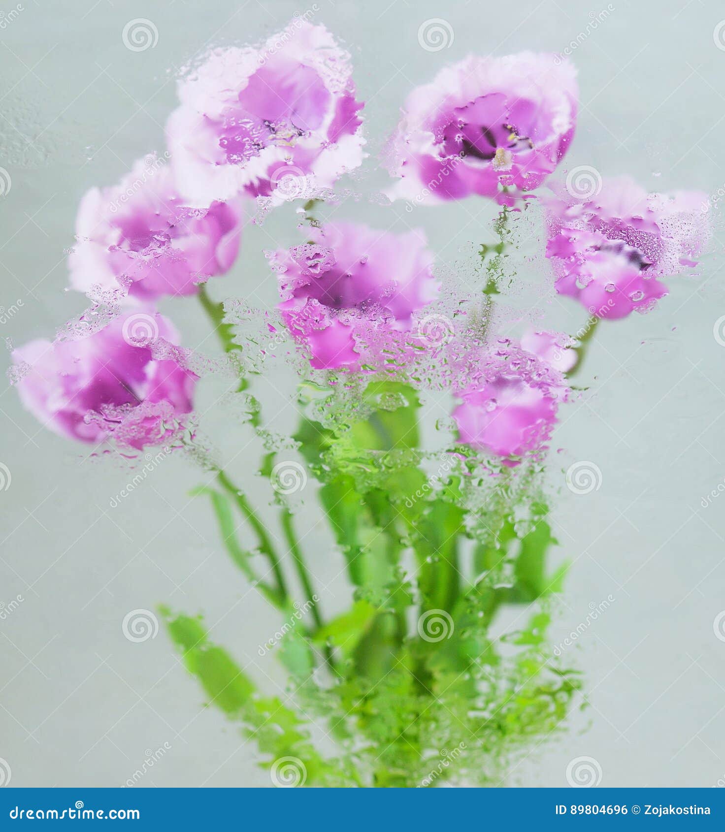 Fruhlingsblumen Unter Wasser Stockfoto Bild Von Wasser Fruhlingsblumen 89804696
