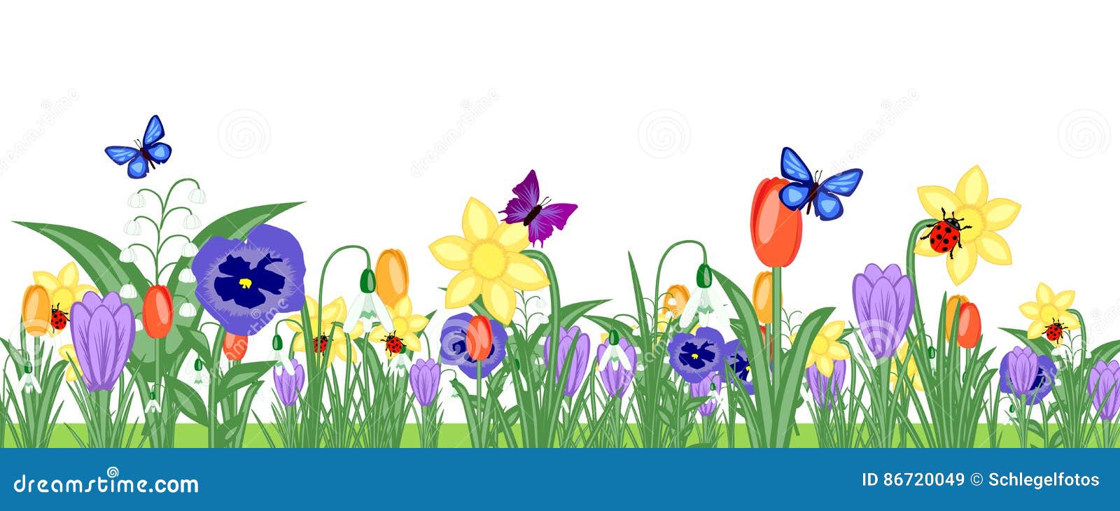 Fruhlingsblumen Wiesenfahne Stock Abbildung Illustration Von Wiesenfahne Fruhlingsblumen