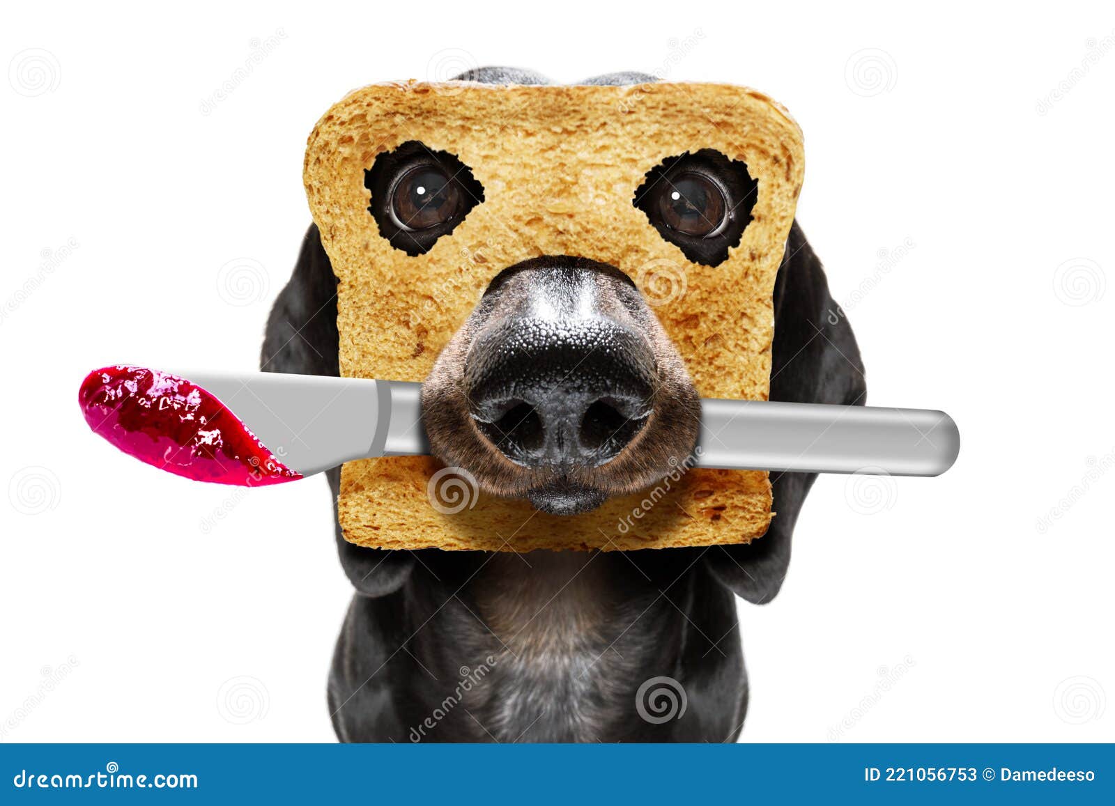 Frühstück Toast Hund Früh am Stockbild Bild von 221056753