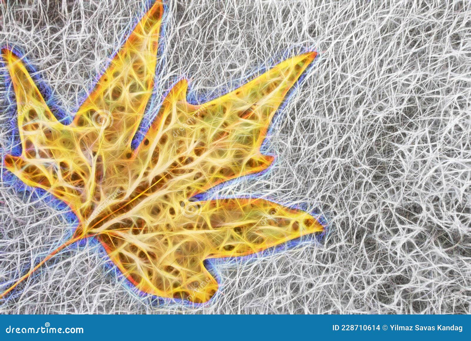 Autumn Leaf on Grey Background. Stock Photo - Image of closeup