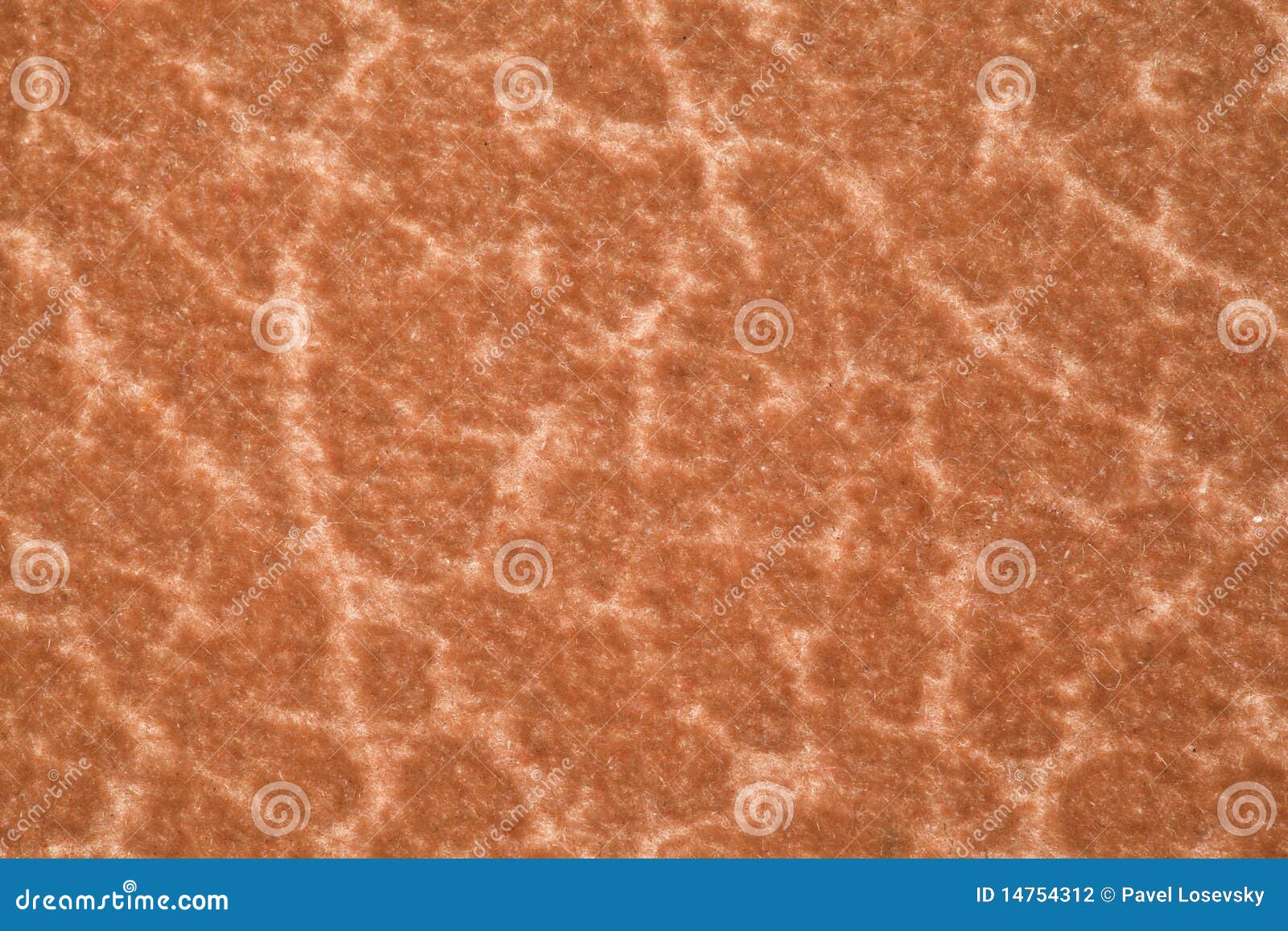 Fragment Pile Carpet, Brownyellow with Pattern Stock Photo Image of