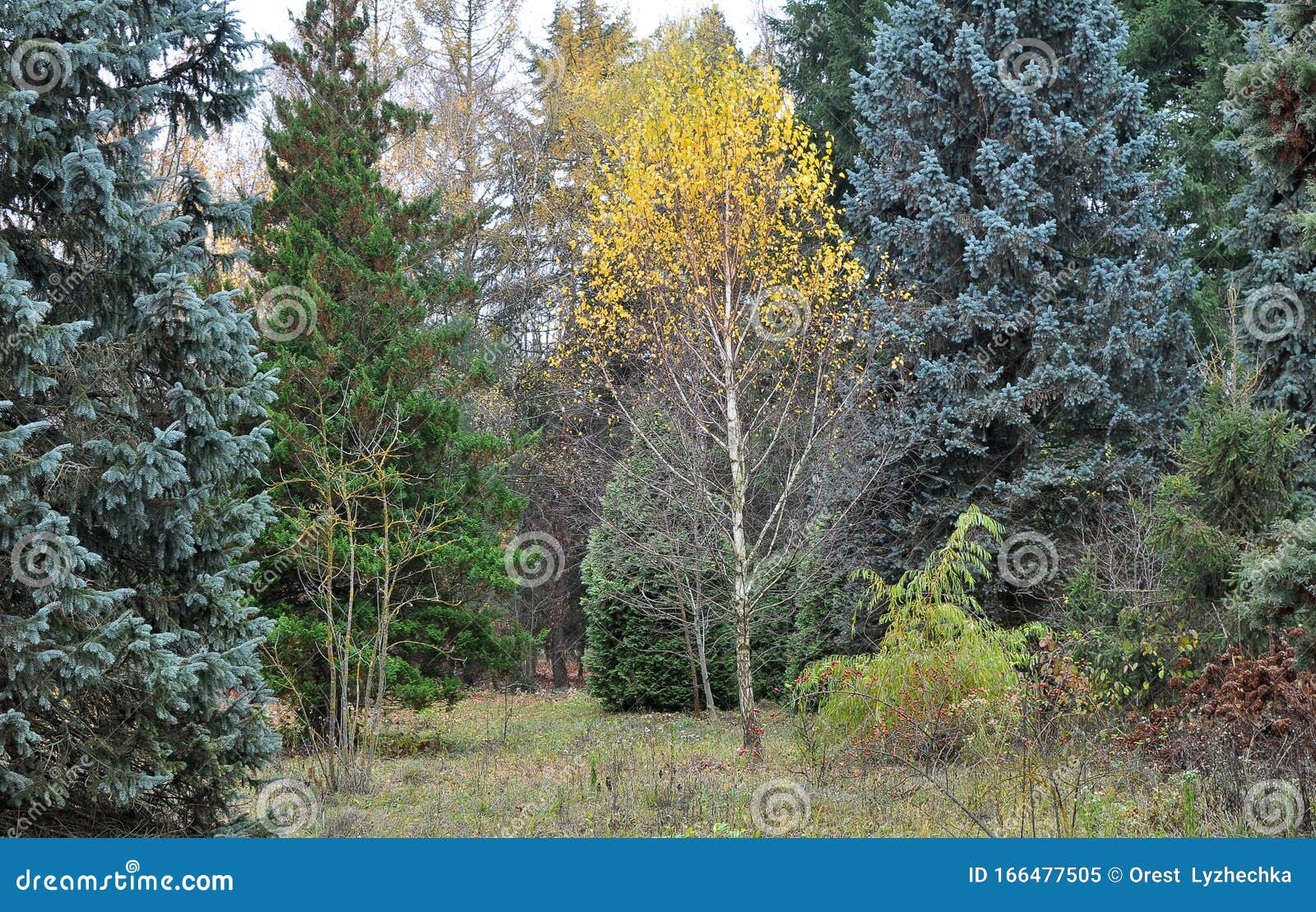 Design Of Landscaping In The Garden Park Square Recreation Area