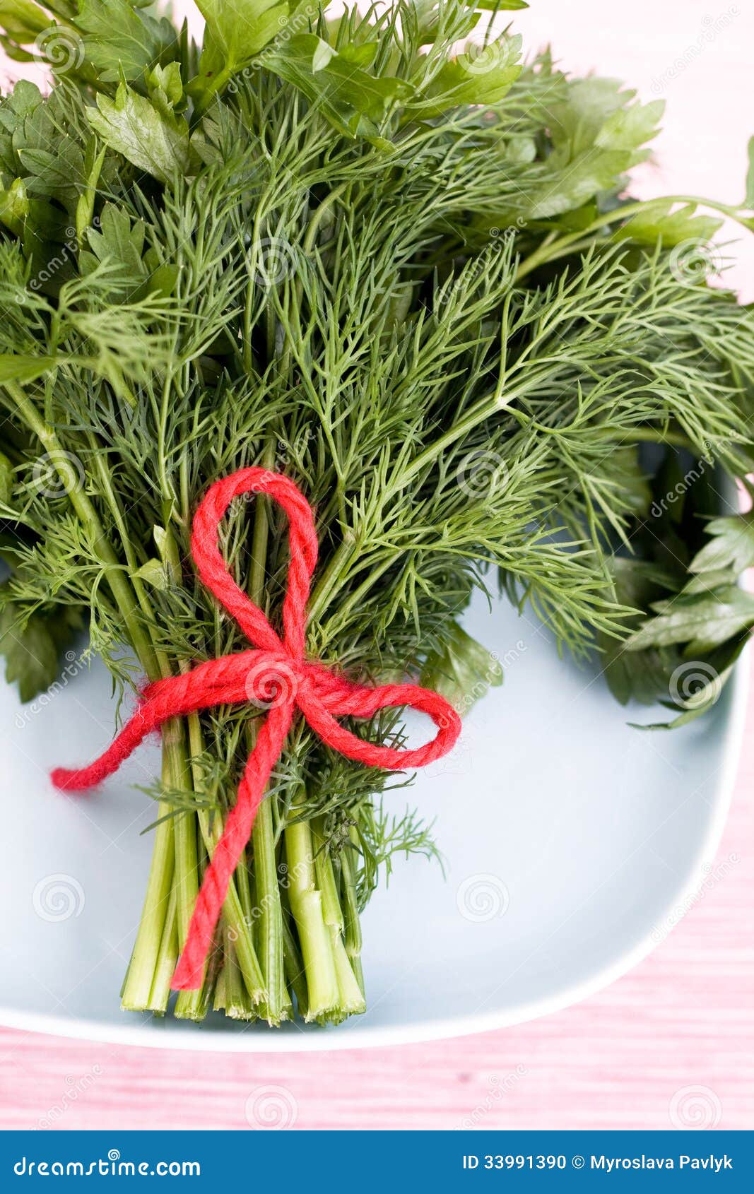 Fragrant Dill and Parsley Leaves Lie on the Plate Stock Photo Image
