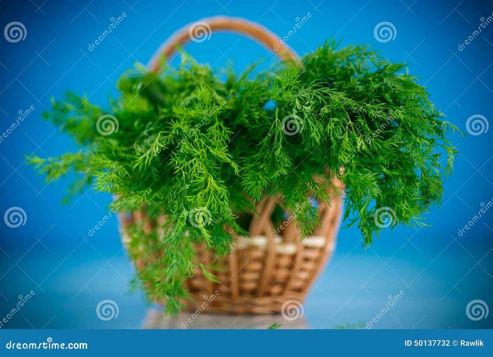 Fragrant Fresh Dill in a Basket Stock Photo Image of fresh, flavor