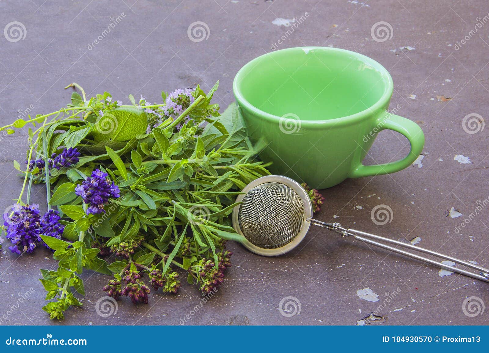 Fragrant Mediterranean Herbs Mint, Lemon Balm, Oregano, Lavender