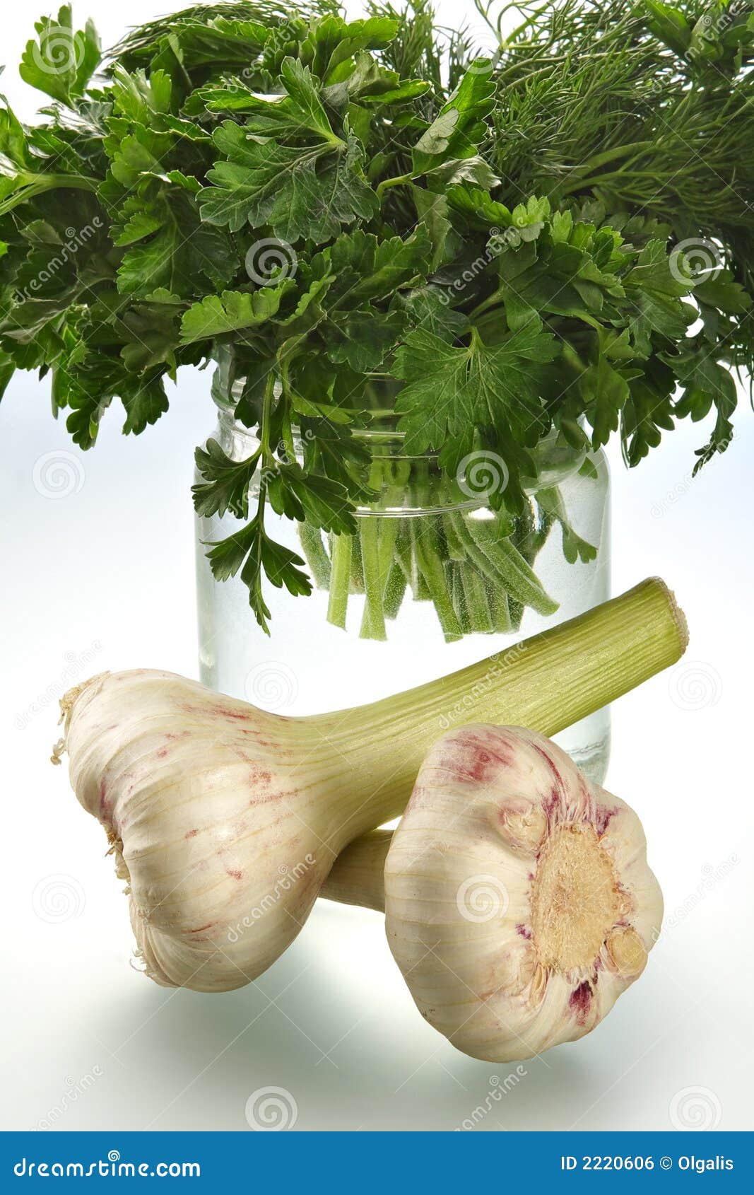 Fragrant Parsley and Garlic Stock Photo Image of bunch, prepare 2220606