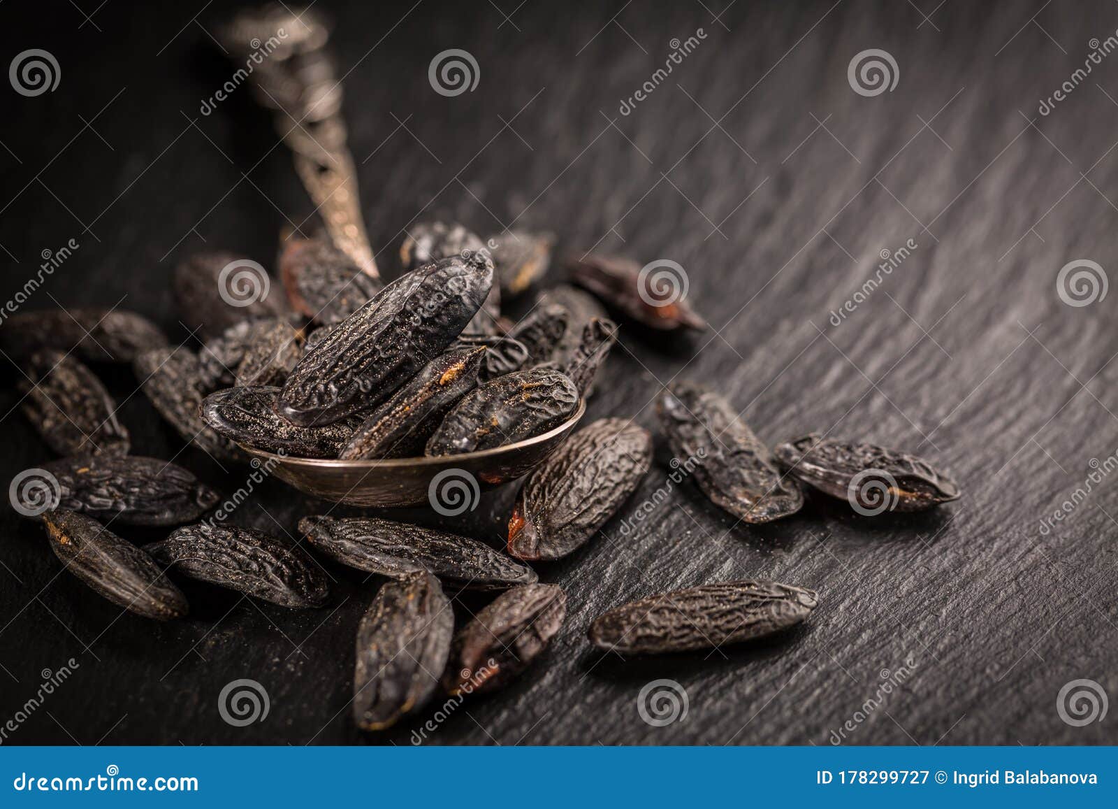 fragrant tonka beans for baking and cooking
