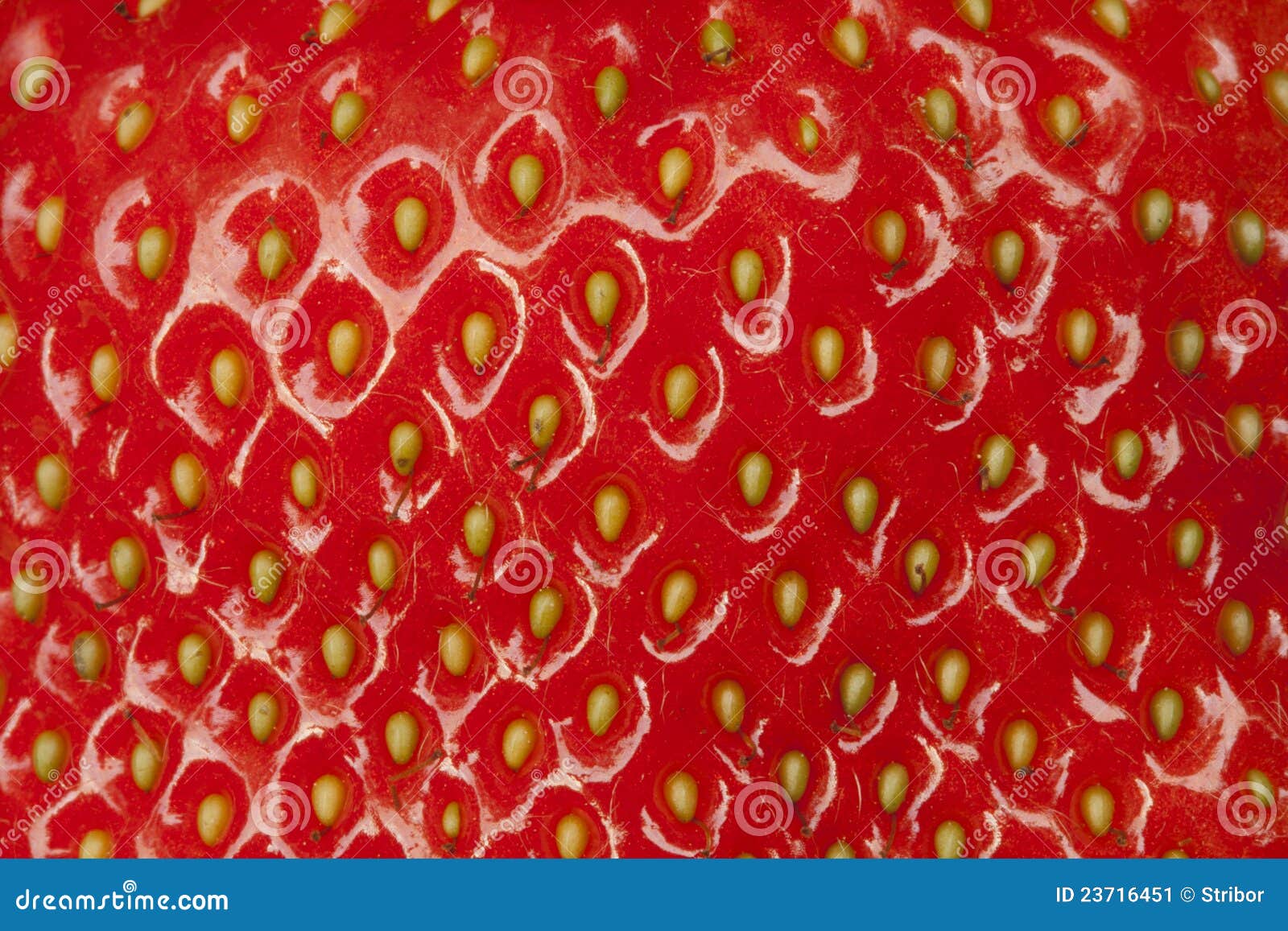 Fermez-vous vers le haut des graines de fraise