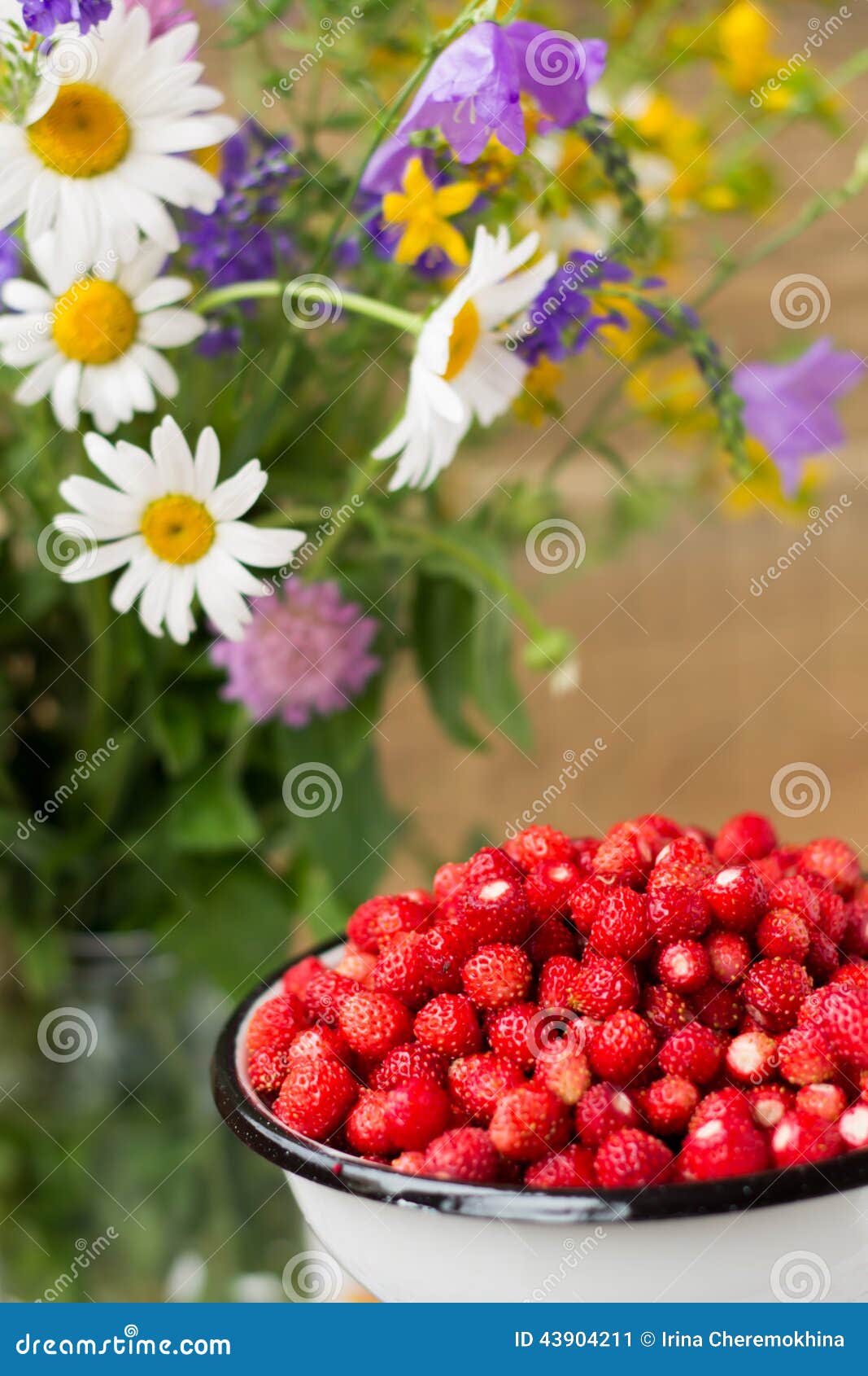 Fleurs de fraisier commun et de pré