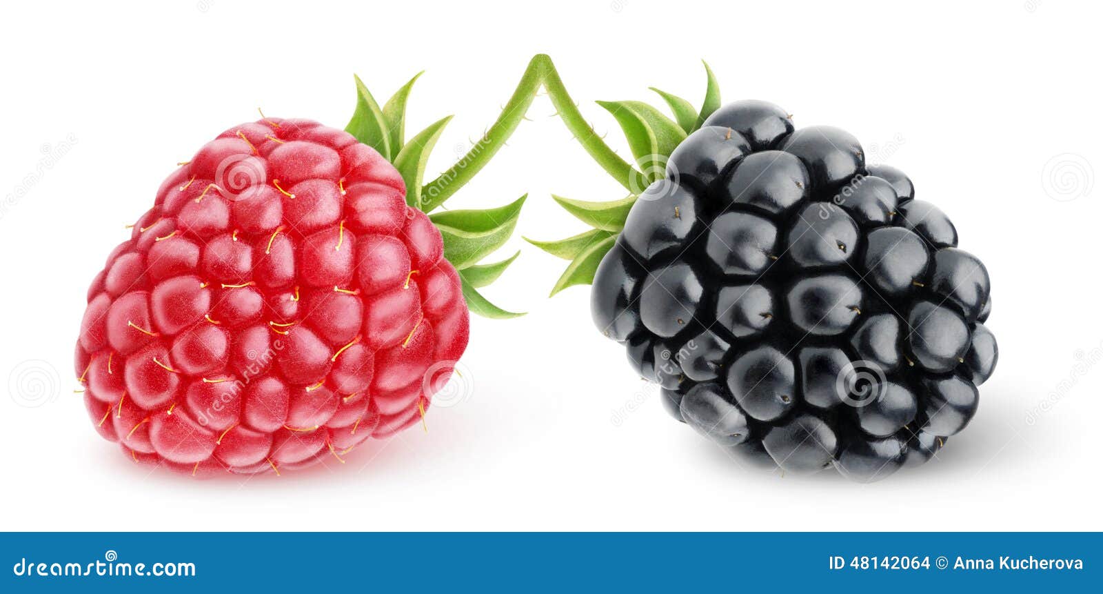 Framboise et mûre photo stock. Image du mûr, gourmet 48142064